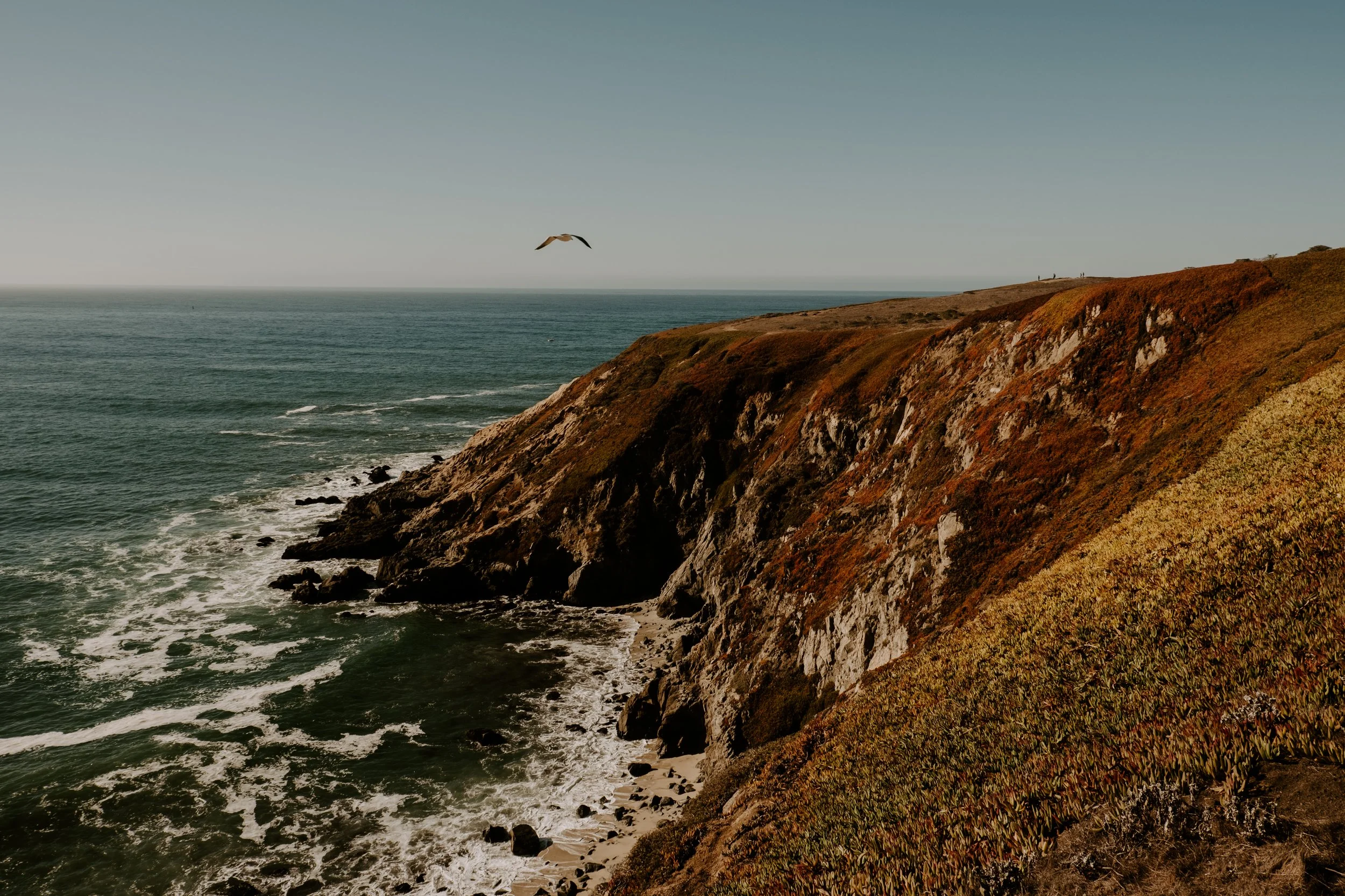 BODEGA_BAY-0325.jpg