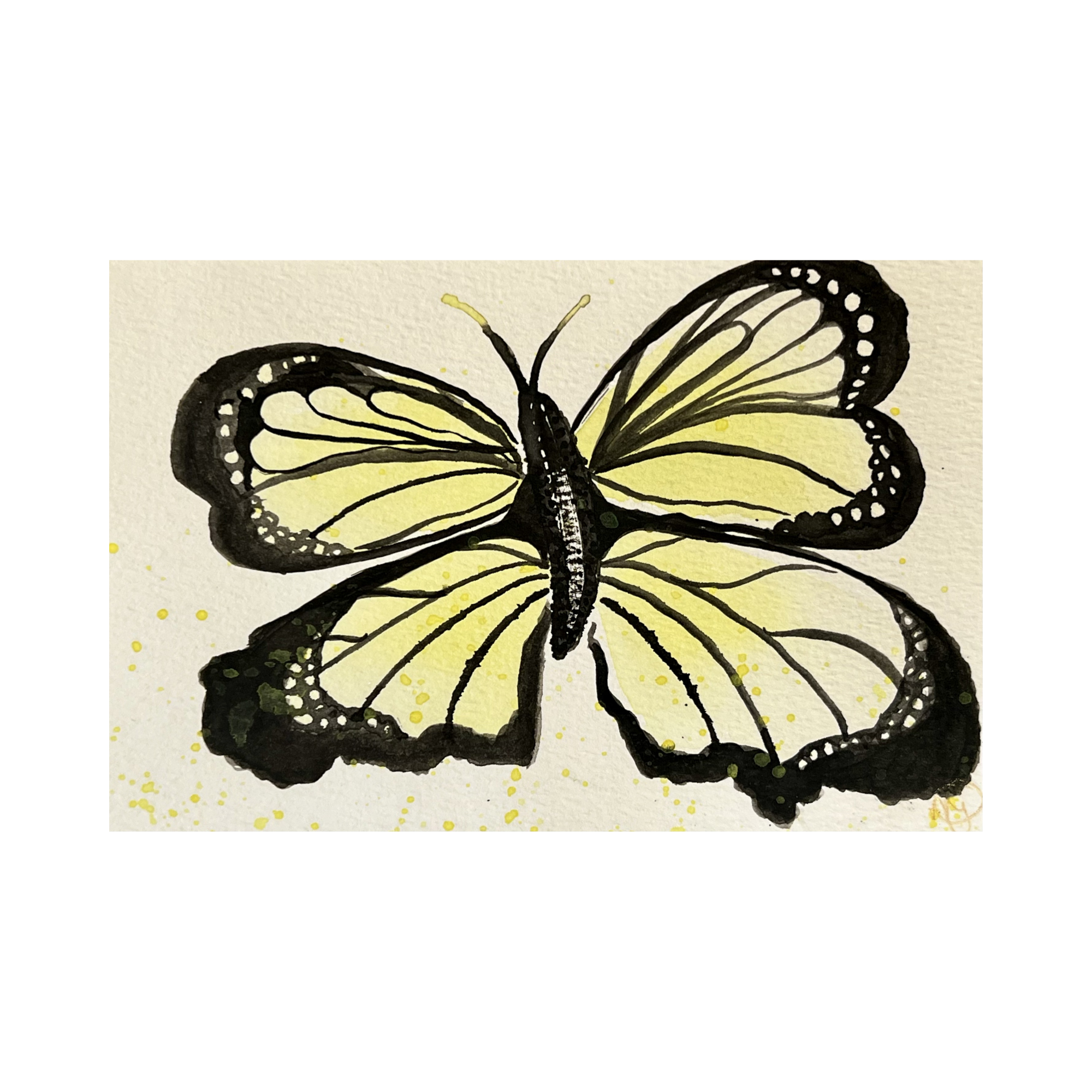 Yellow Butterfly