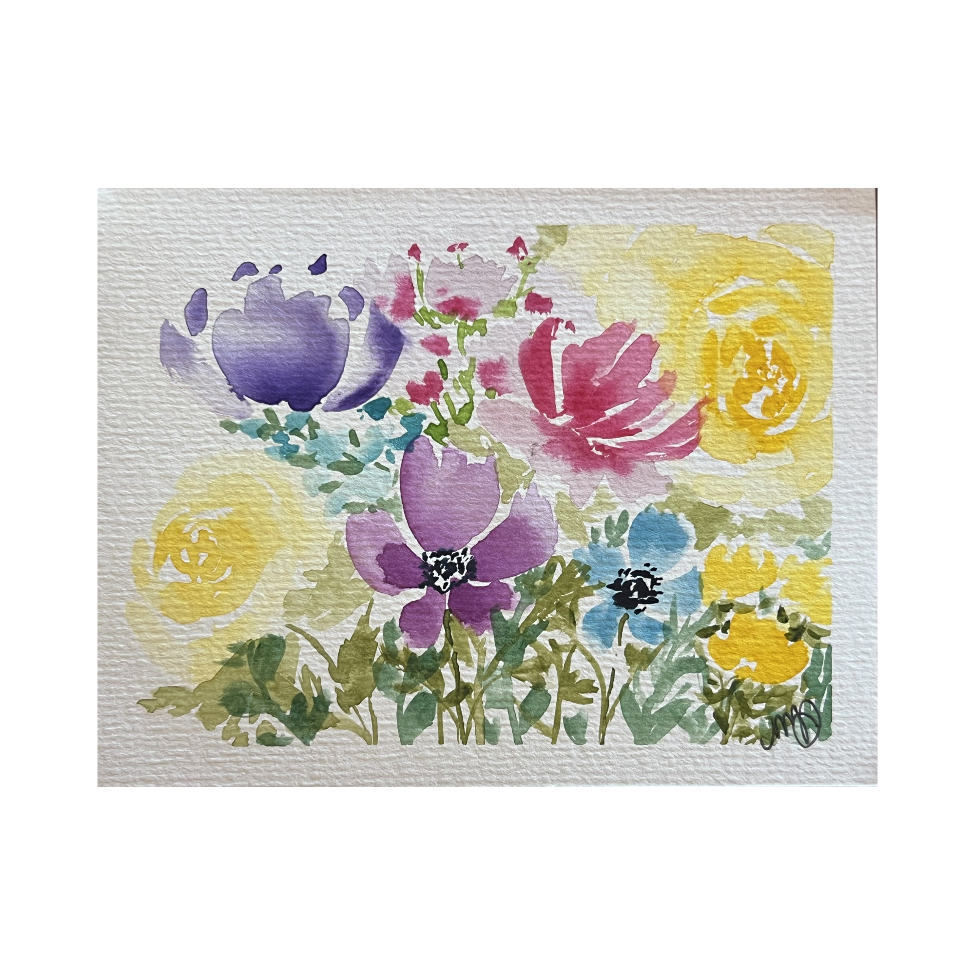 Colorful Wildflowers