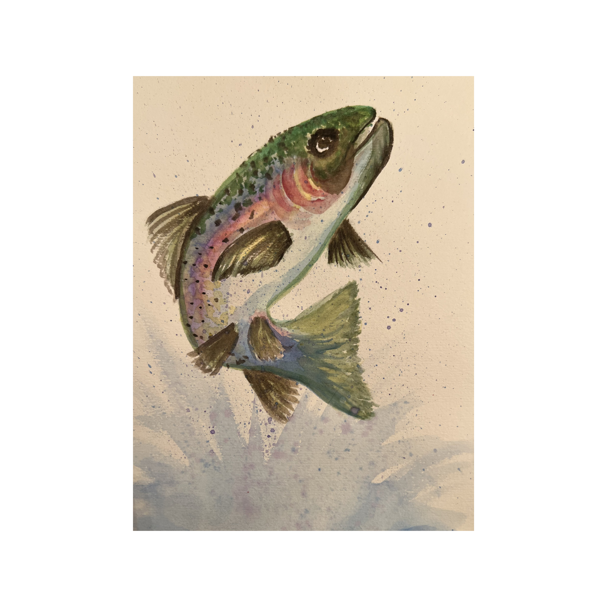 Jumping Rainbow Trout