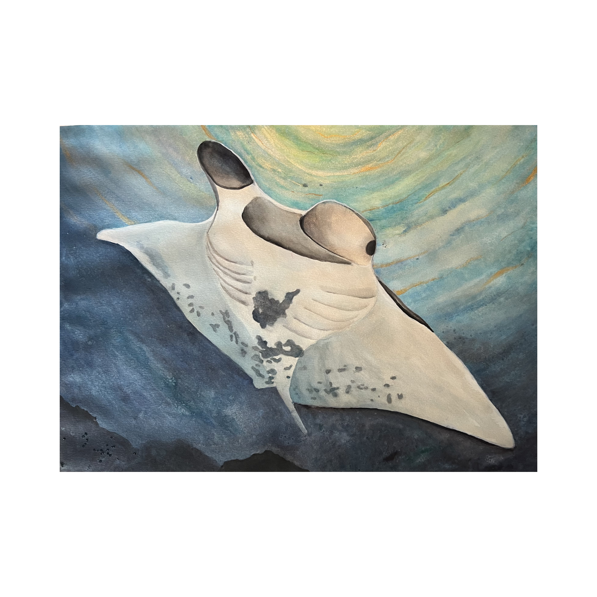 Kiss From a Manta