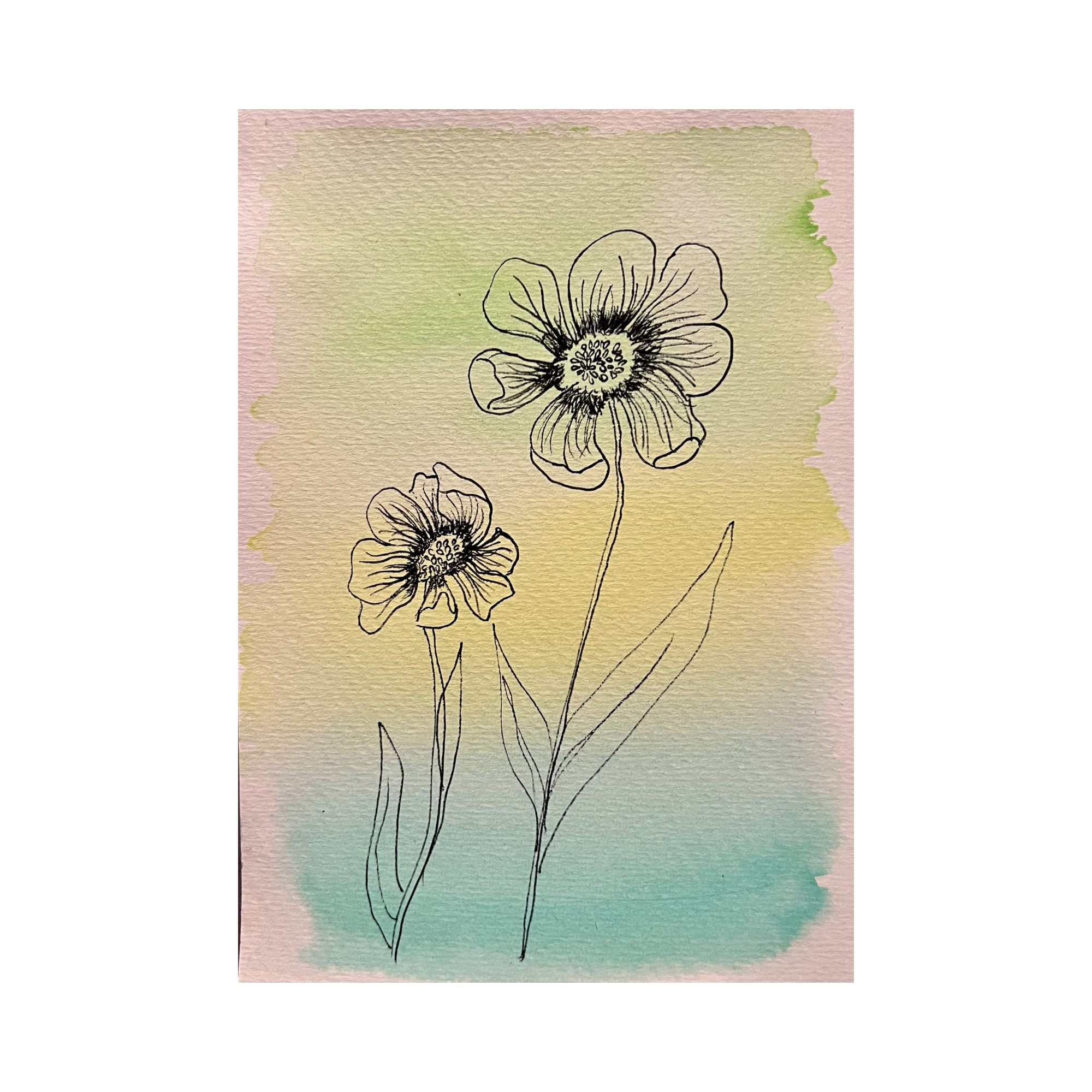 Cool Color Line Flower