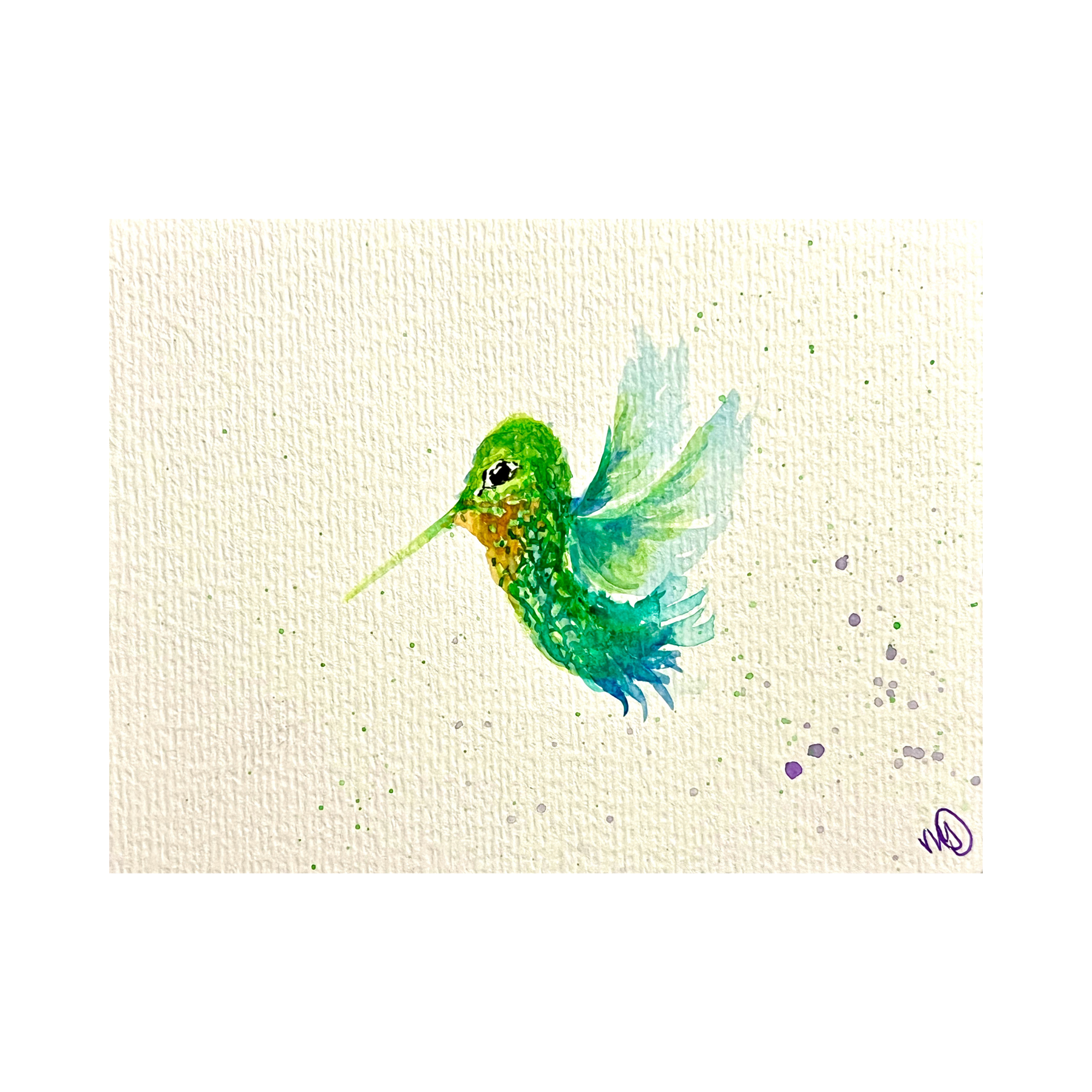 Little Hummingbird