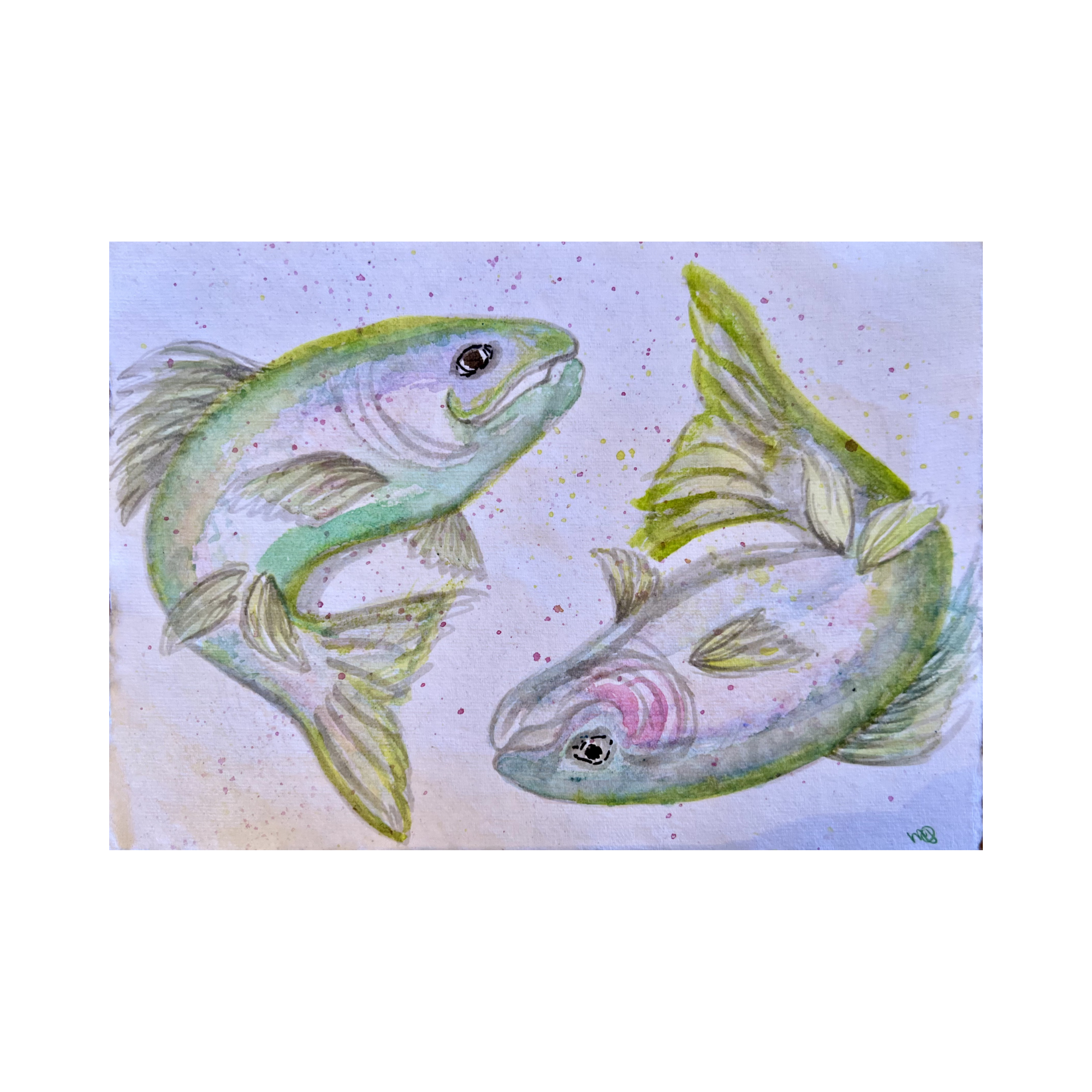 Trout Duo