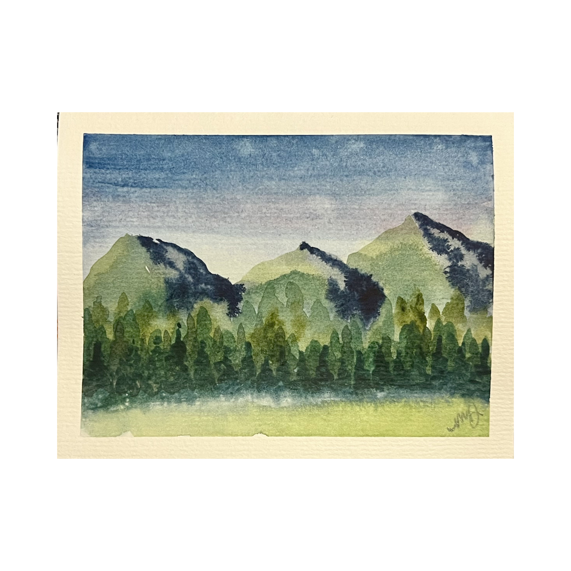 Evening Shadows