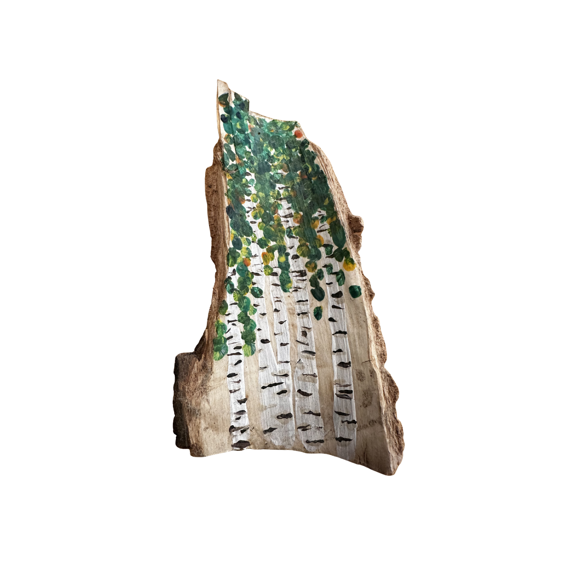 Quaking Aspen