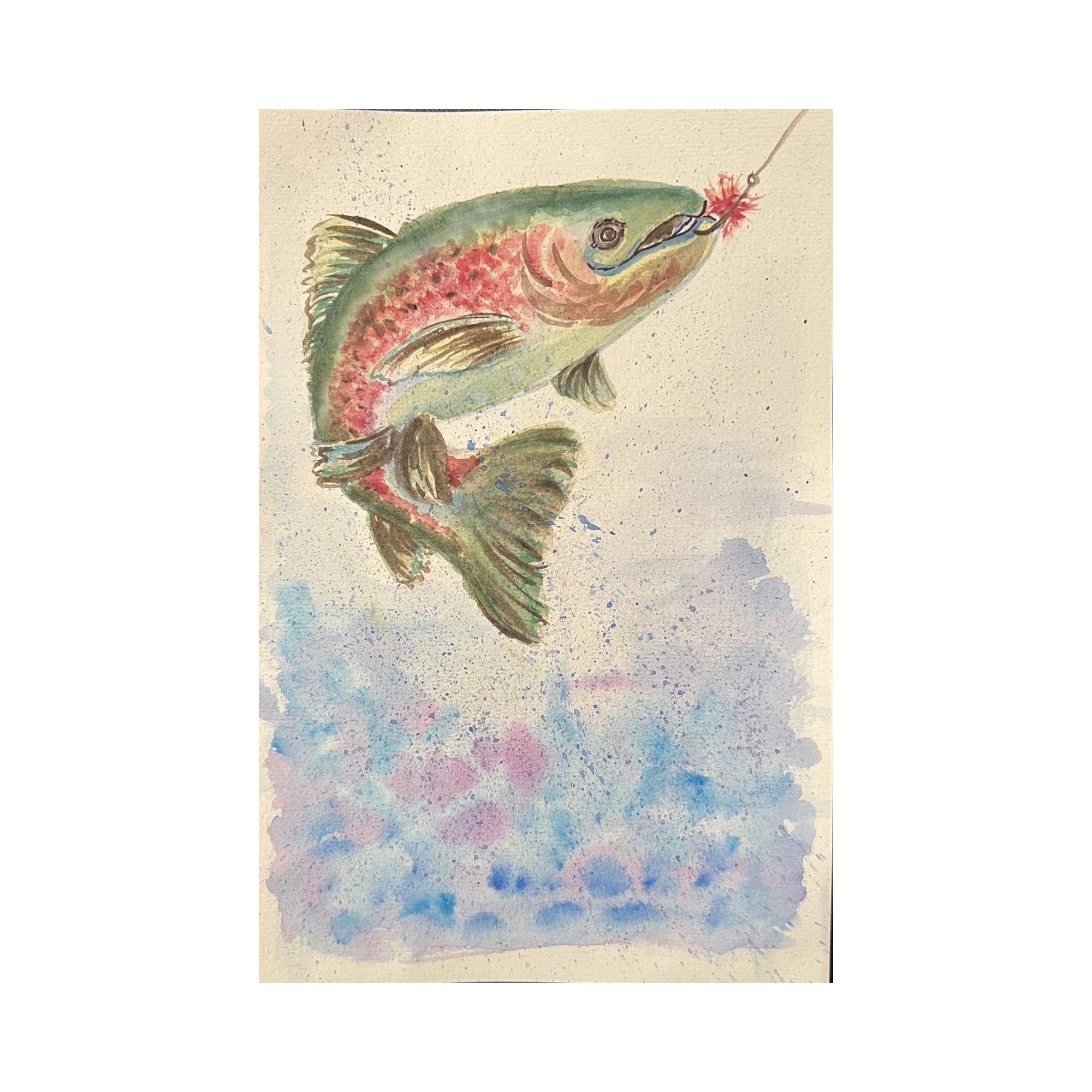 Rainbow Trout
