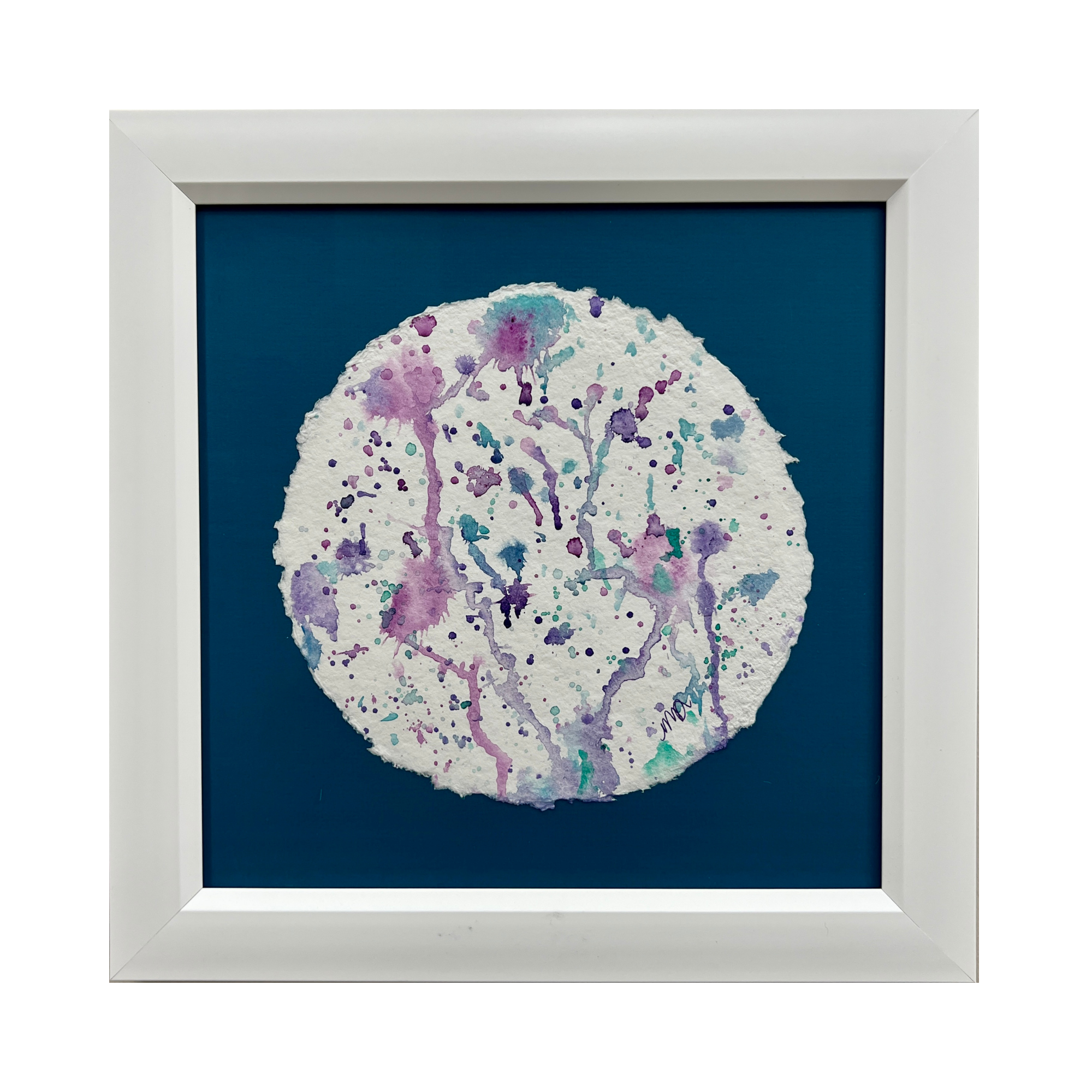 Framed Rare Desert Rain