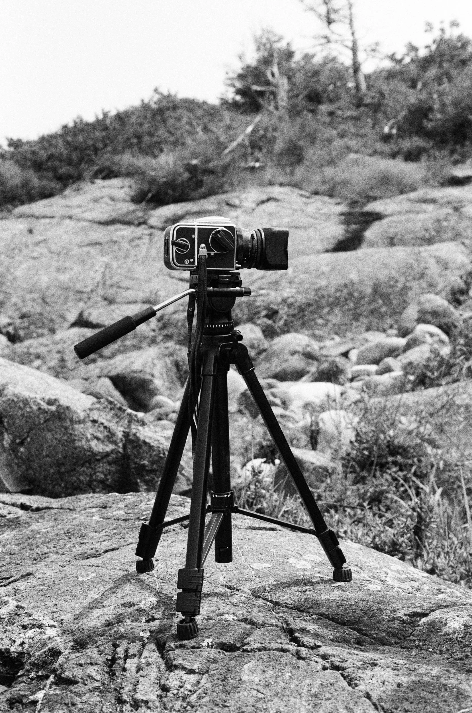 A black and white photo of a vintage film camera mounted on a tripod on a rocky surface outside, with a blurred background of trees and brush.