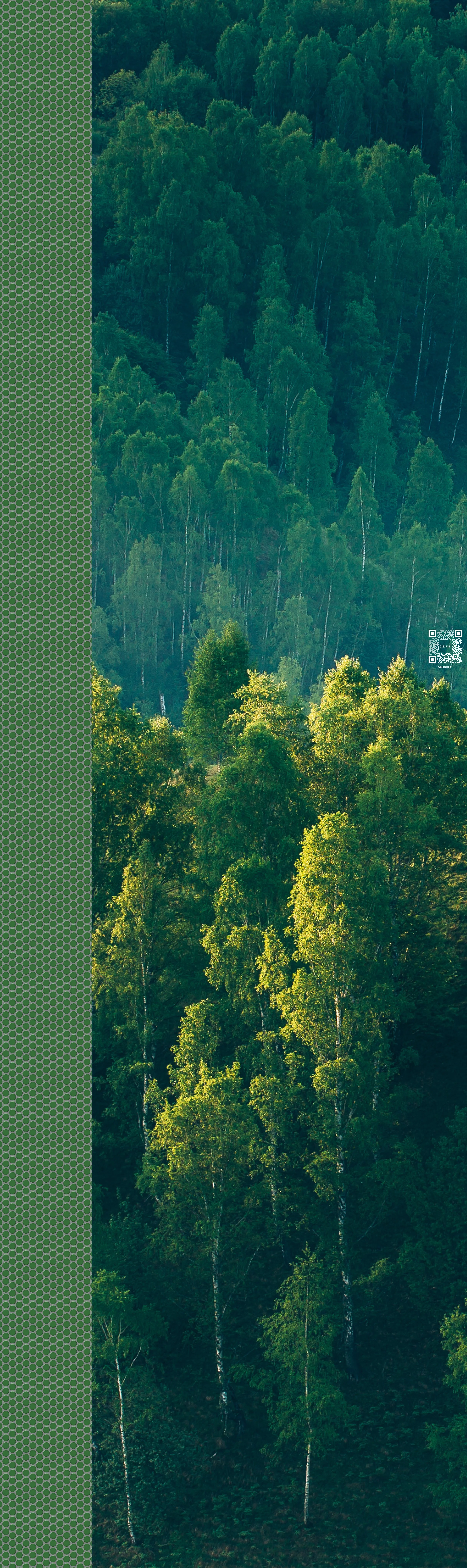 _6 Float Board_Ed Spaces_Forest and Tile.jpg