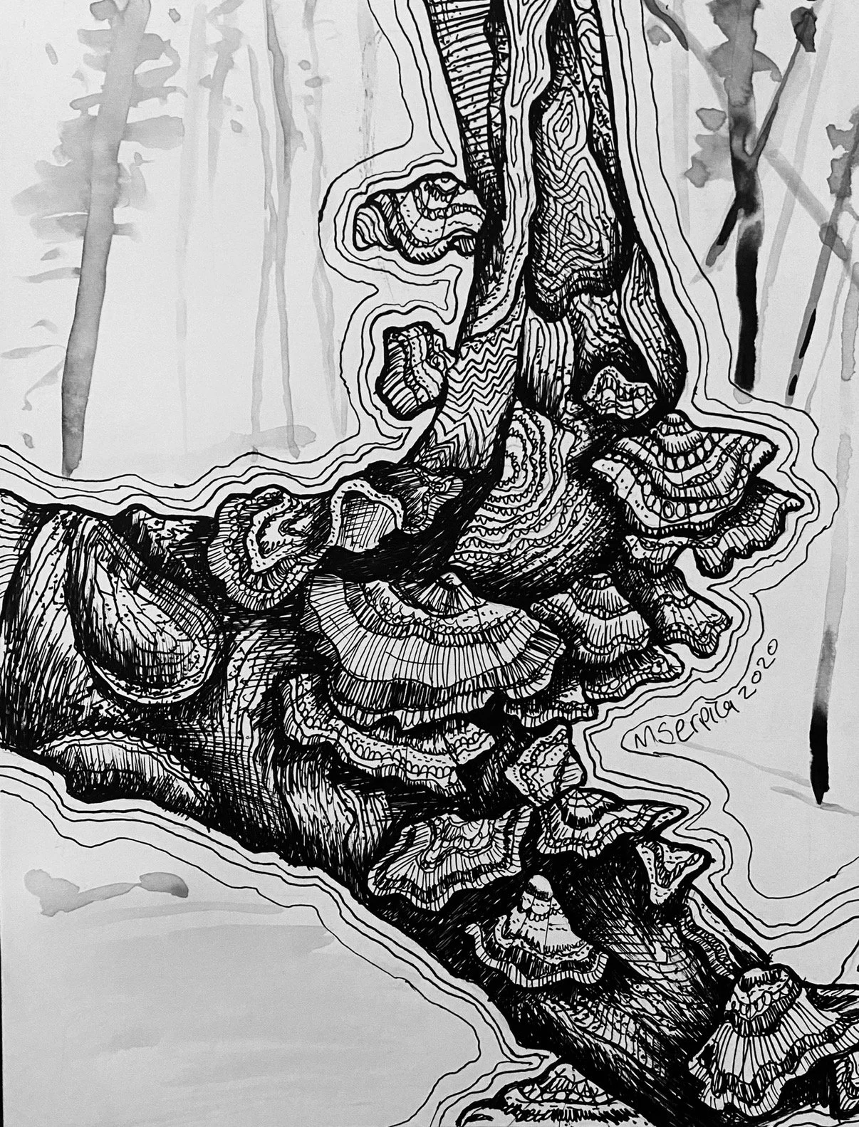 "Turkey Tail For Brian", Dip pen/ink on hot press watercolor paper, 2020