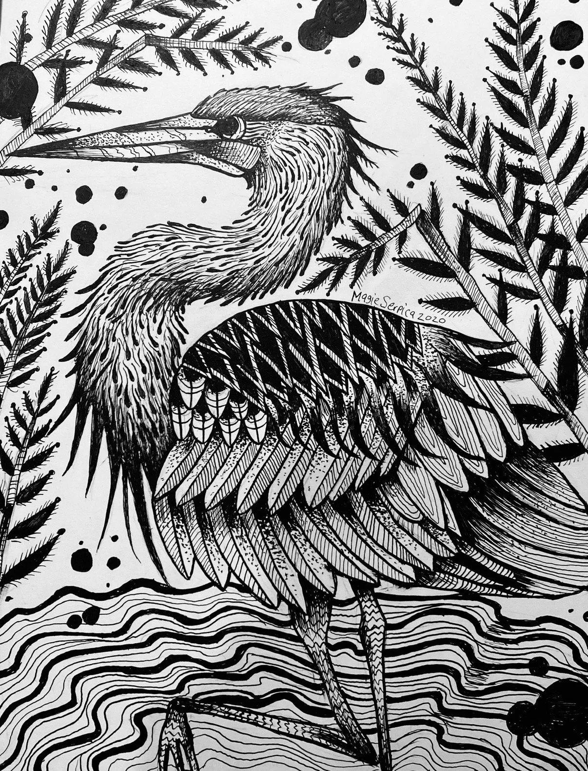 Pen/Ink Illustration