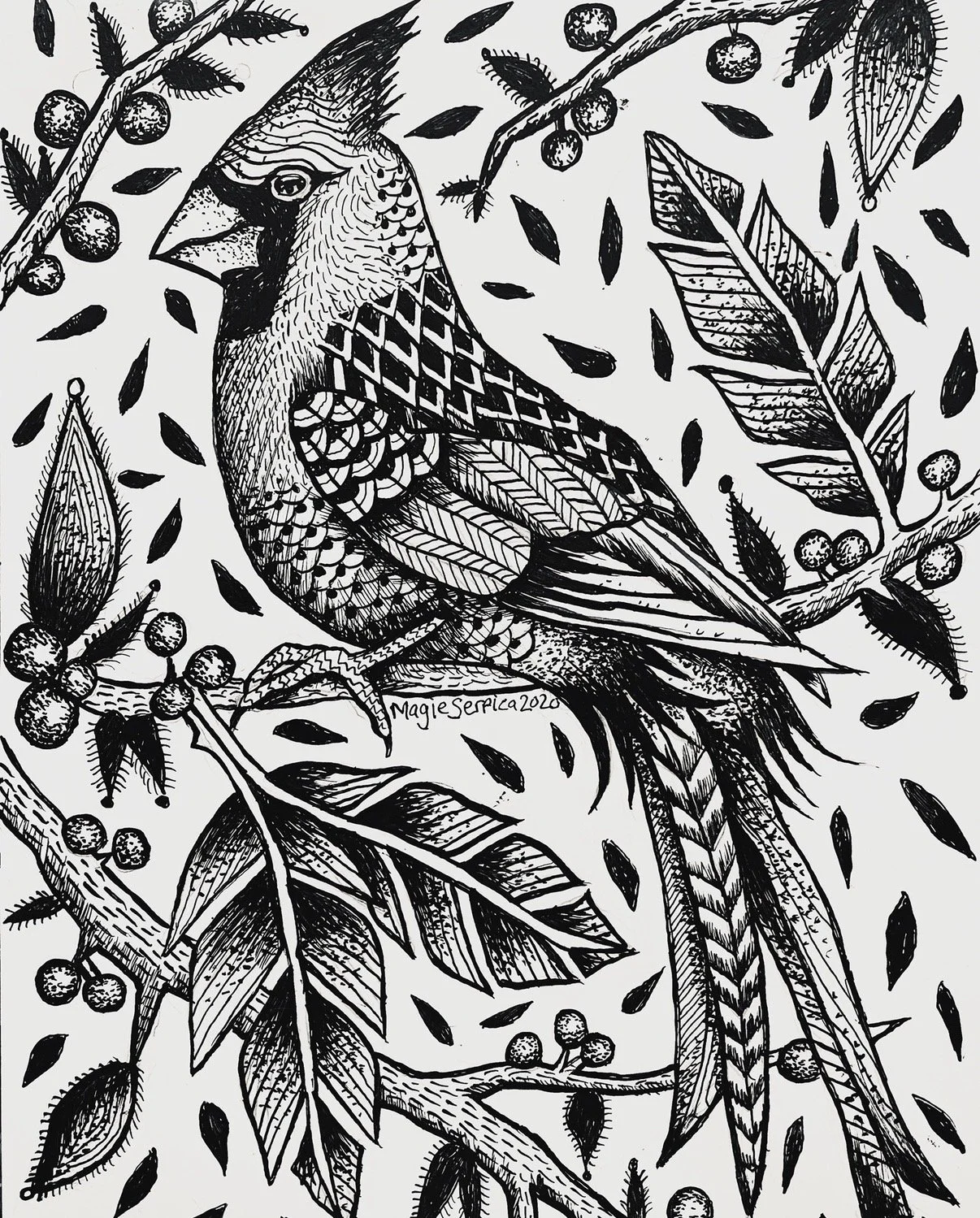 Cardinal, Covid series, dip pen on board, 2020