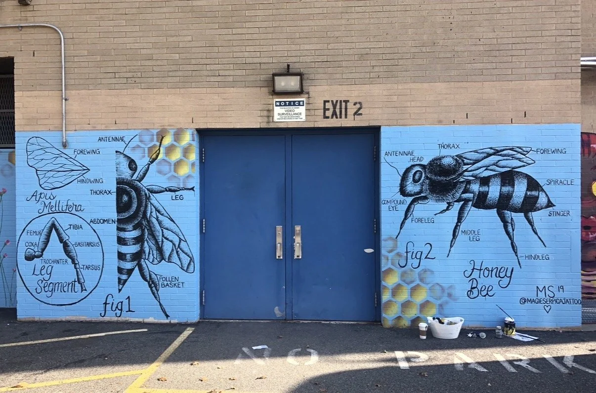 Hungerford School, Staten Island, NY, Projectivity 2019