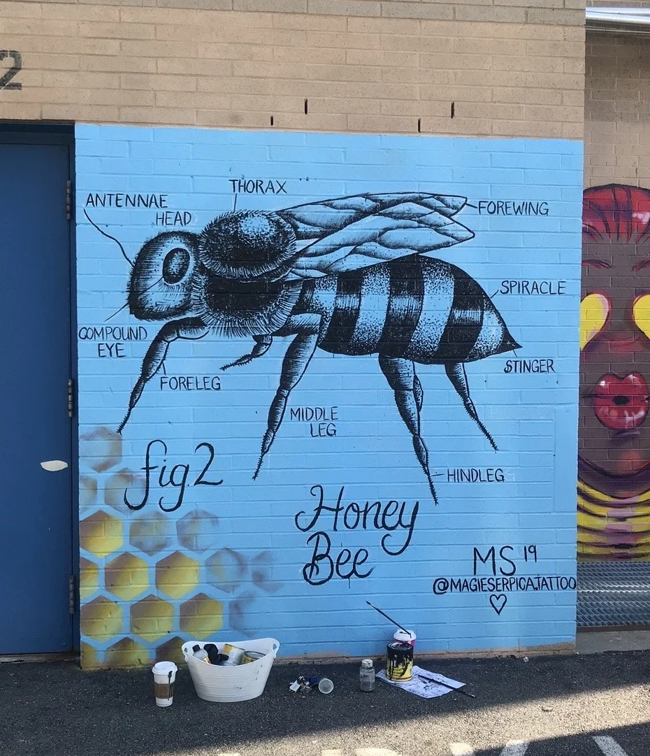 Hungerford School, Staten Island, NY, Projectivity 2019