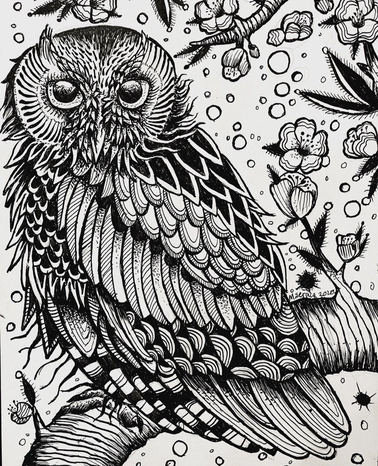 Screech Owl, Covid series, dip pen on board, 2020