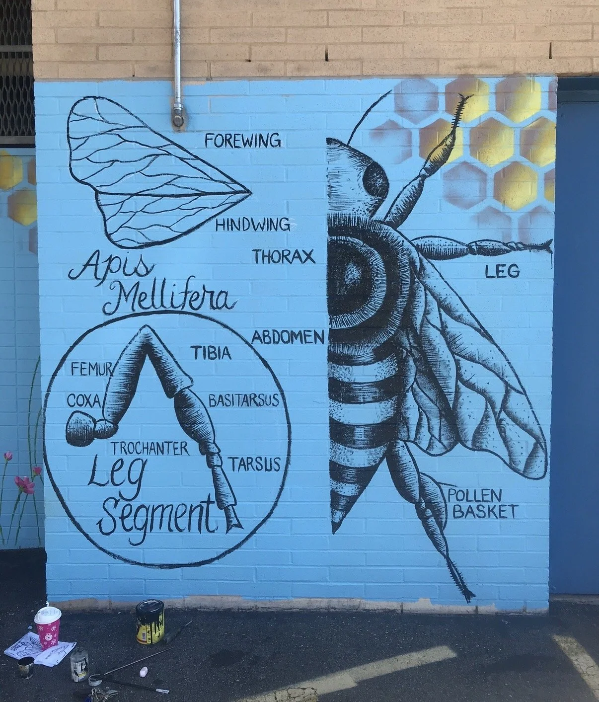 Hungerford School, Staten Island, NY, Projectivity 2019