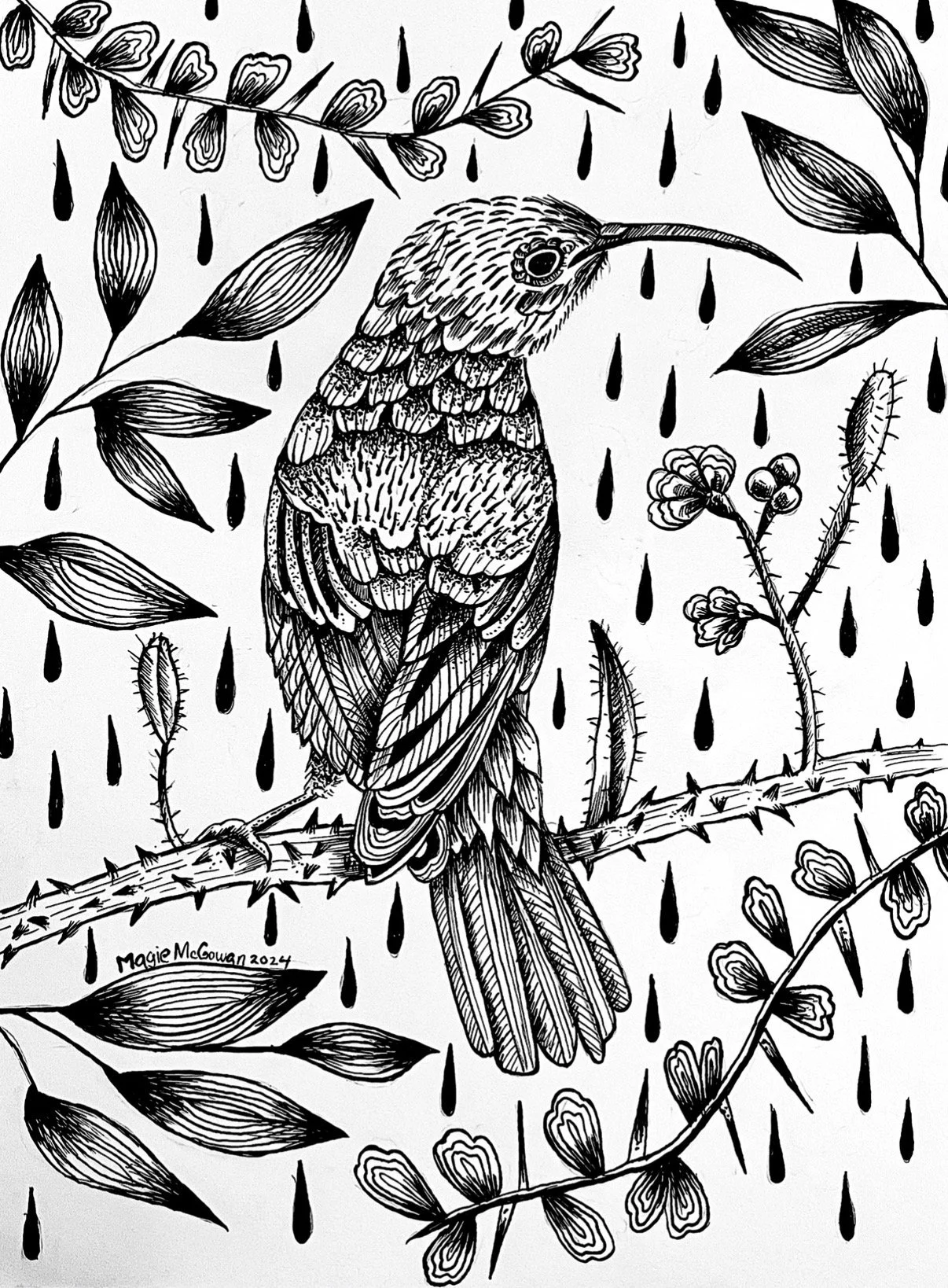 "Palestinian Sunbird", dip pen and ink on hot press paper, 2024