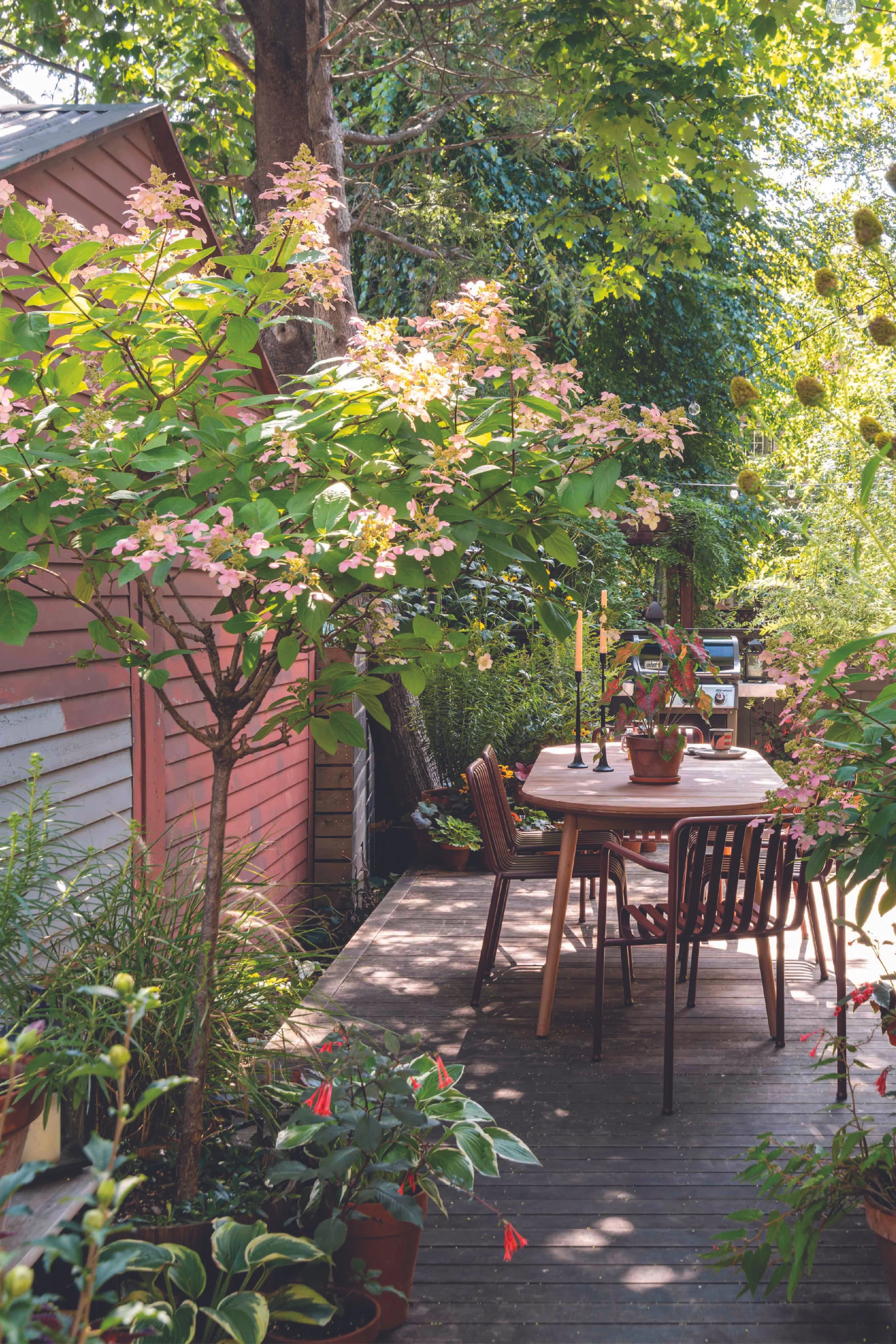 A lush, green garden patio with a wooden deck, surrounded by flowering plants, trees, and bushes. There's an outdoor dining table with chairs, a potted plant, and hanging string lights.
