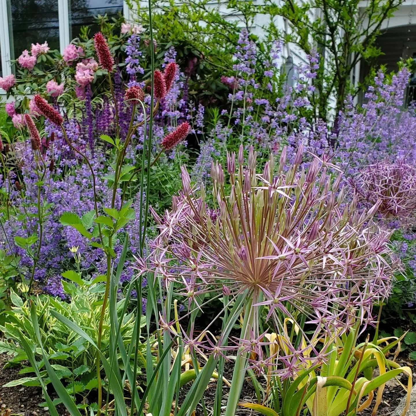   Gleasondale Greenery      I        A deteriorated asphalt driveway becomes an exterior Living Room immersed in a garden