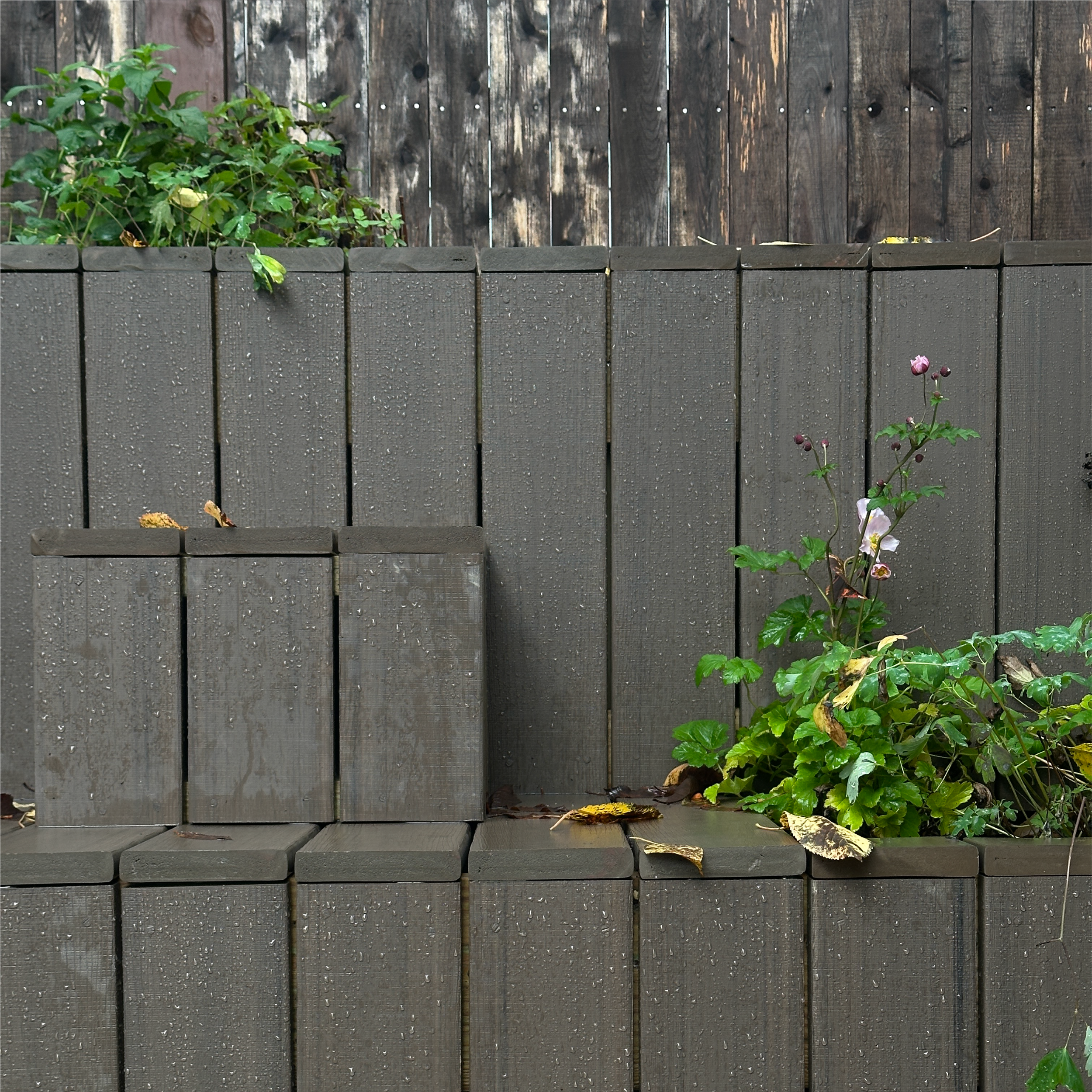   Church Street Stepped Garden      I        Stepping stones and terraced planters elevate a gravel garden into a family playscape