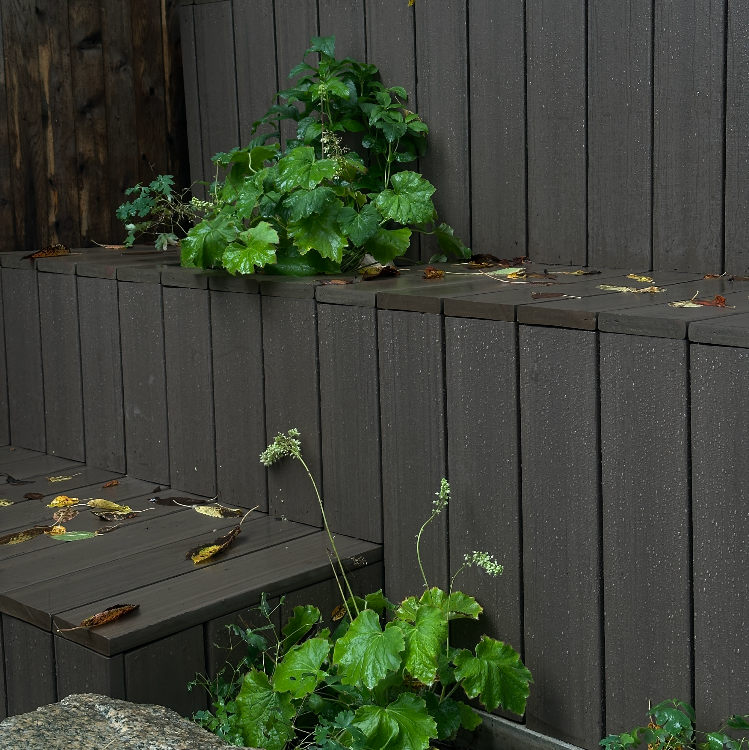   Church Street Stepped Garden      I        Stepping stones and terraced planters elevate a gravel garden into a family playscape