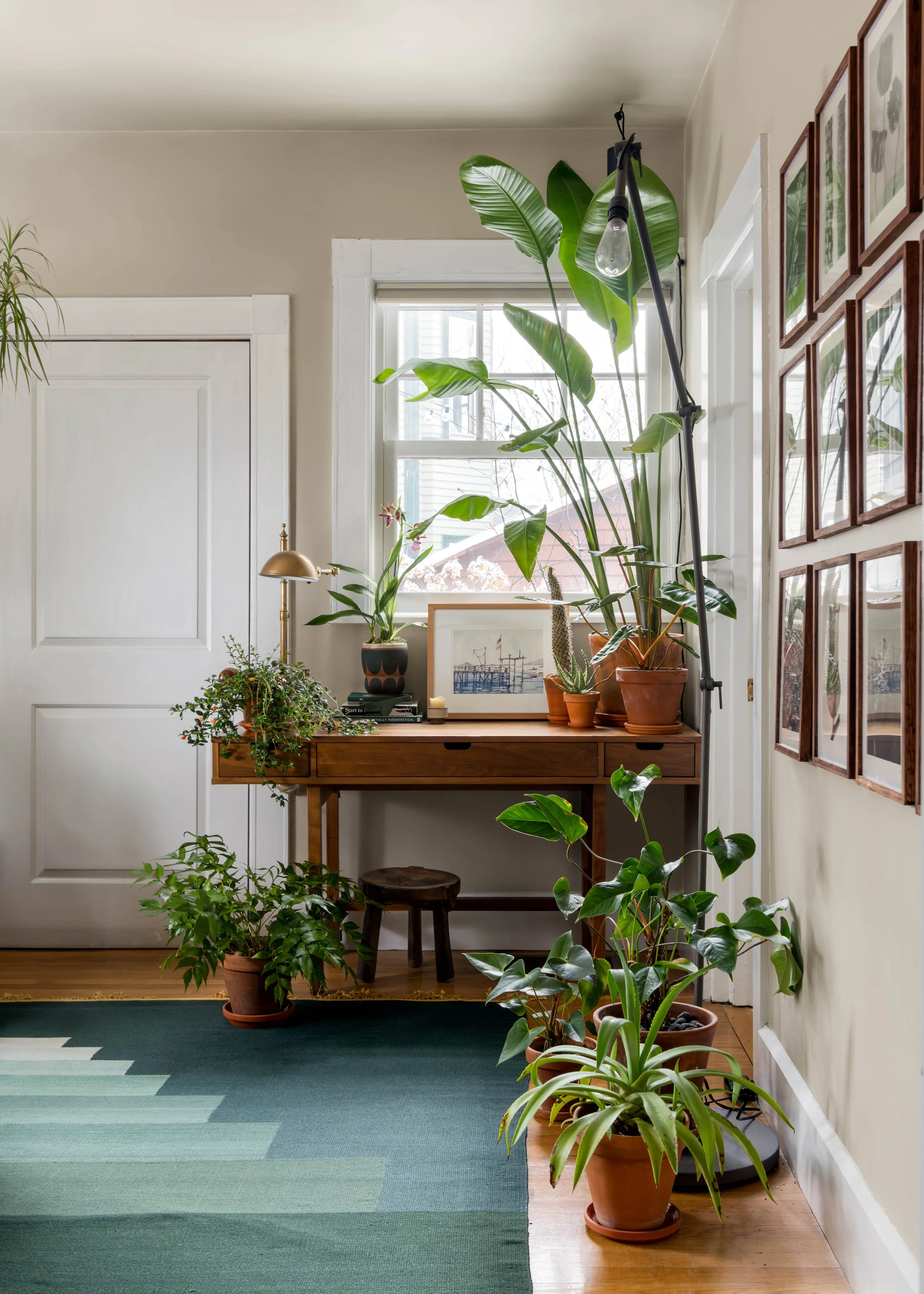 A cozy corner with indoor plants on a wooden table and in pots on the floor, a large window with light filtering through, framed pictures on the wall, a green and blue striped rug, and a white door.