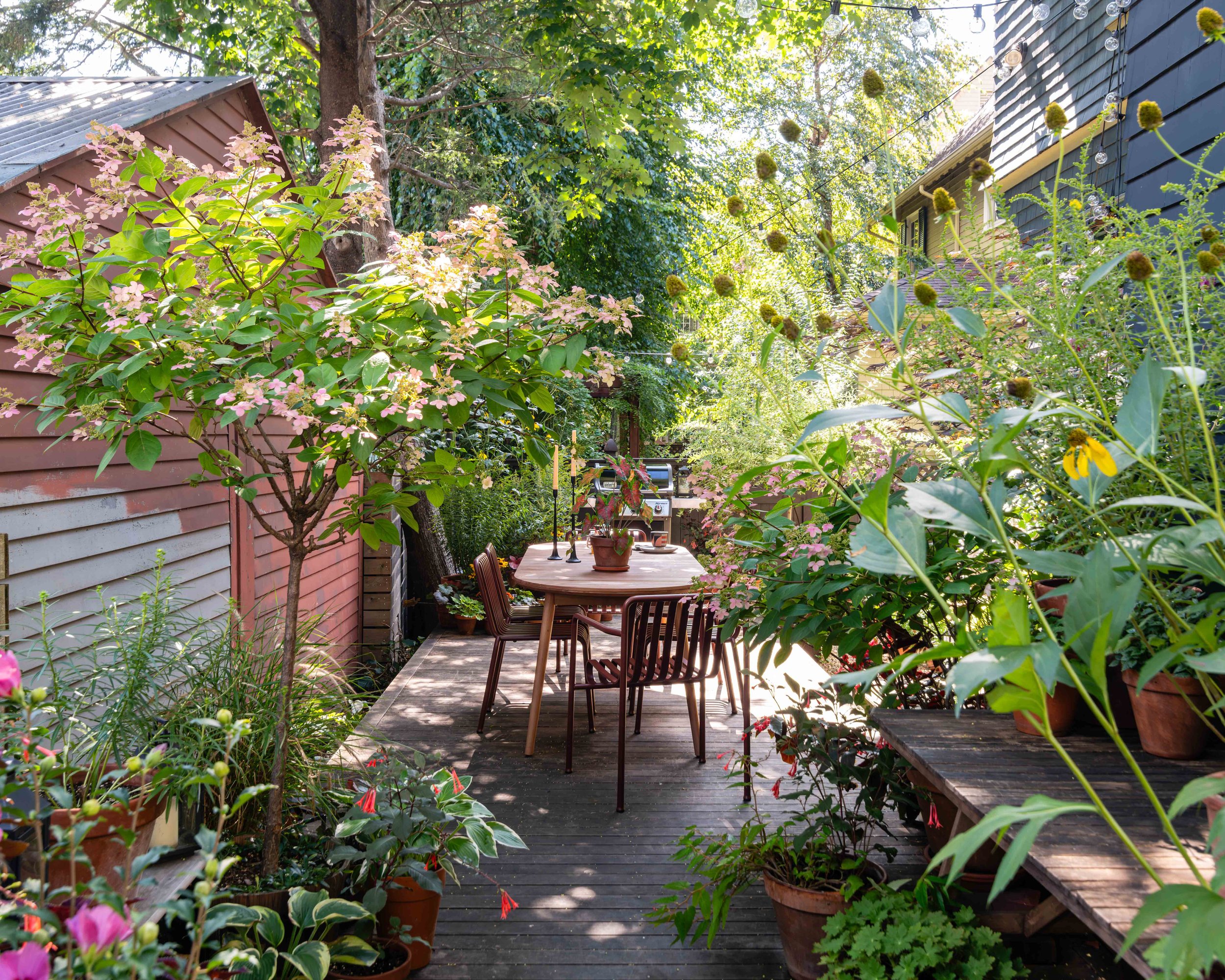 A backyard patio with a wooden table and chairs surrounded by lush green plants and trees, with houses on either side and string lights overhead.