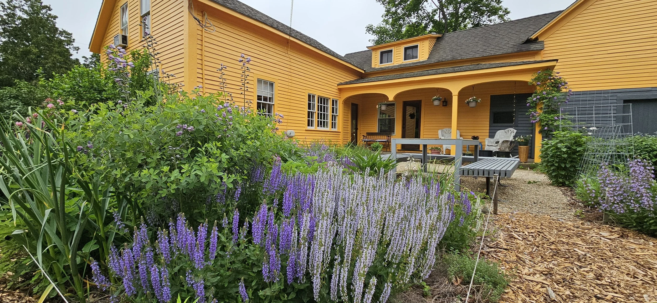 A yellow house with a porch, surrounded by a lush garden with purple and pink flowers, potted plants, and outdoor furniture.
