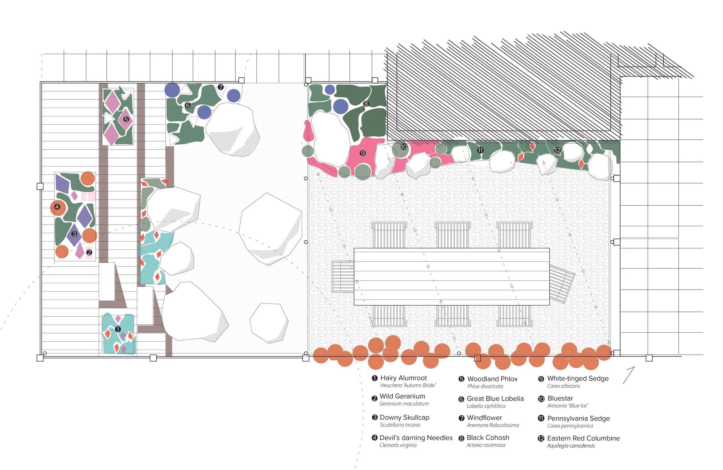 2408 44 Church Garden _Planting Plan_Backyard_2.jpg