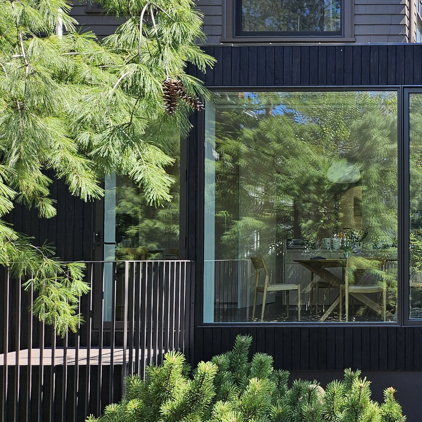 A modern house with large glass windows, exterior dark wood siding, surrounded by lush green pine trees and bushes, with reflections of trees visible in the windows.