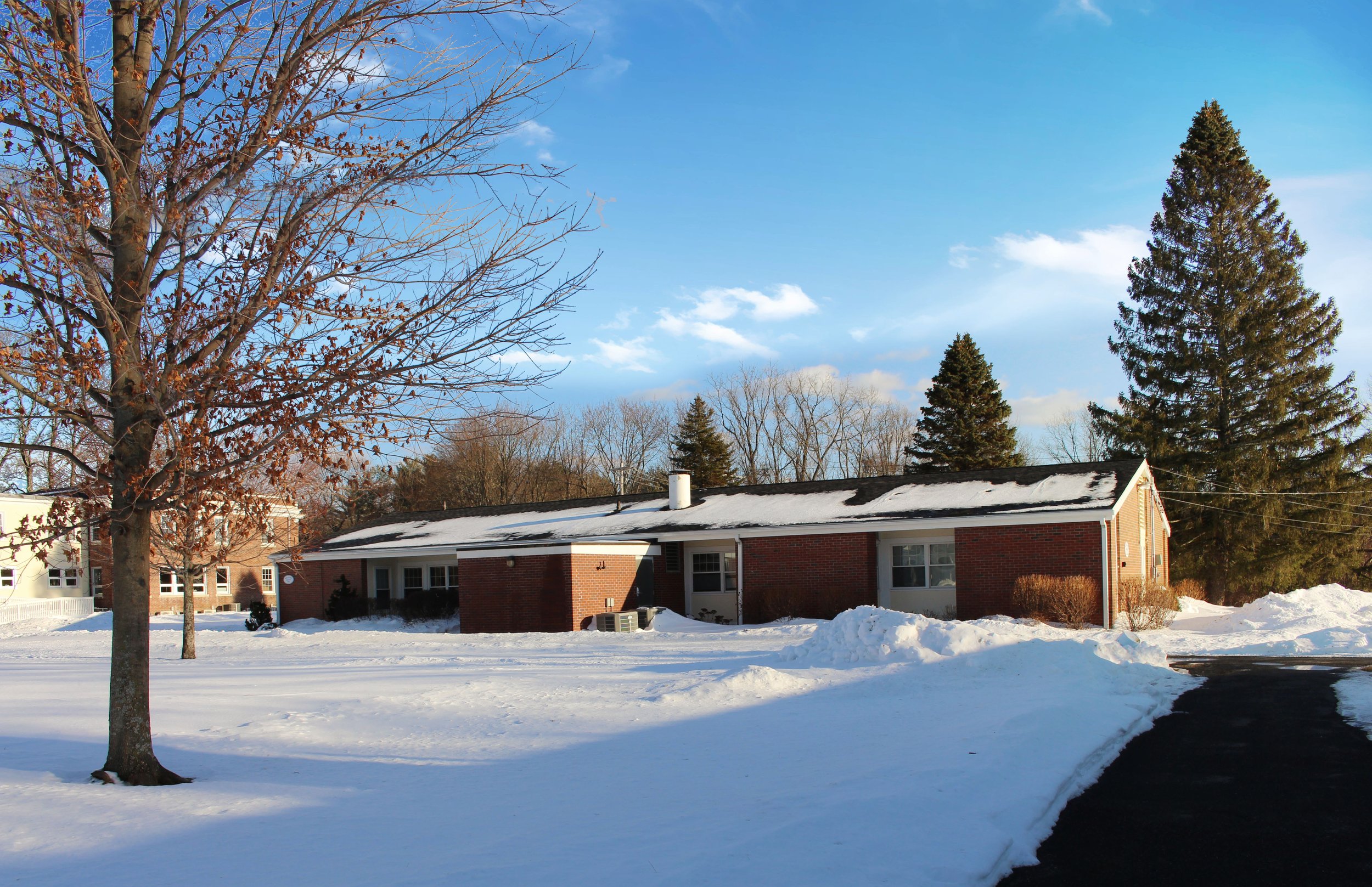 A snowy suburban backyard with a brick house, leafless trees, evergreen trees, and a partially snow-covered roof under a blue sky with some clouds.