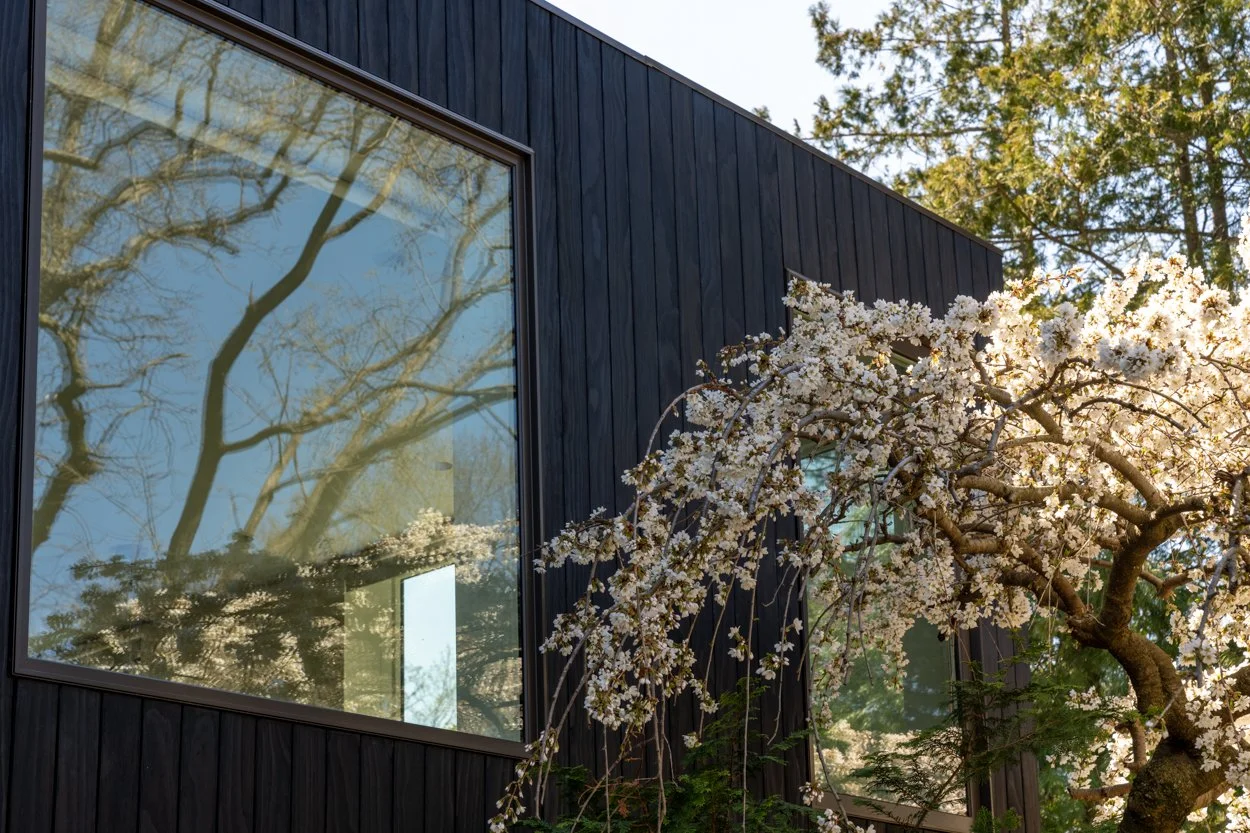 A modern black house with large windows reflecting trees, a blooming cherry blossom tree with white flowers in the foreground, and a background of green trees under a clear sky.