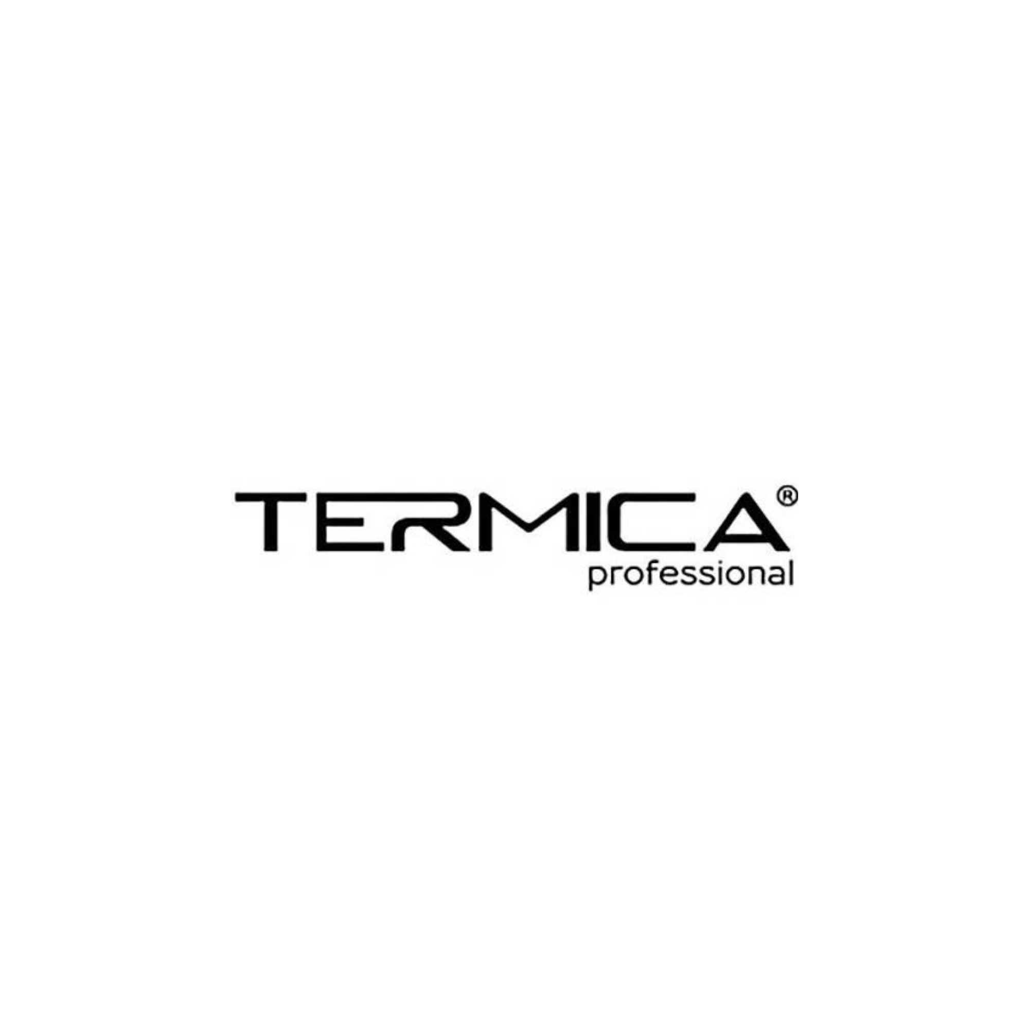 Company logo with the word 'TERMICA' in bold black letters and the phrase 'professional' underneath on a white background.