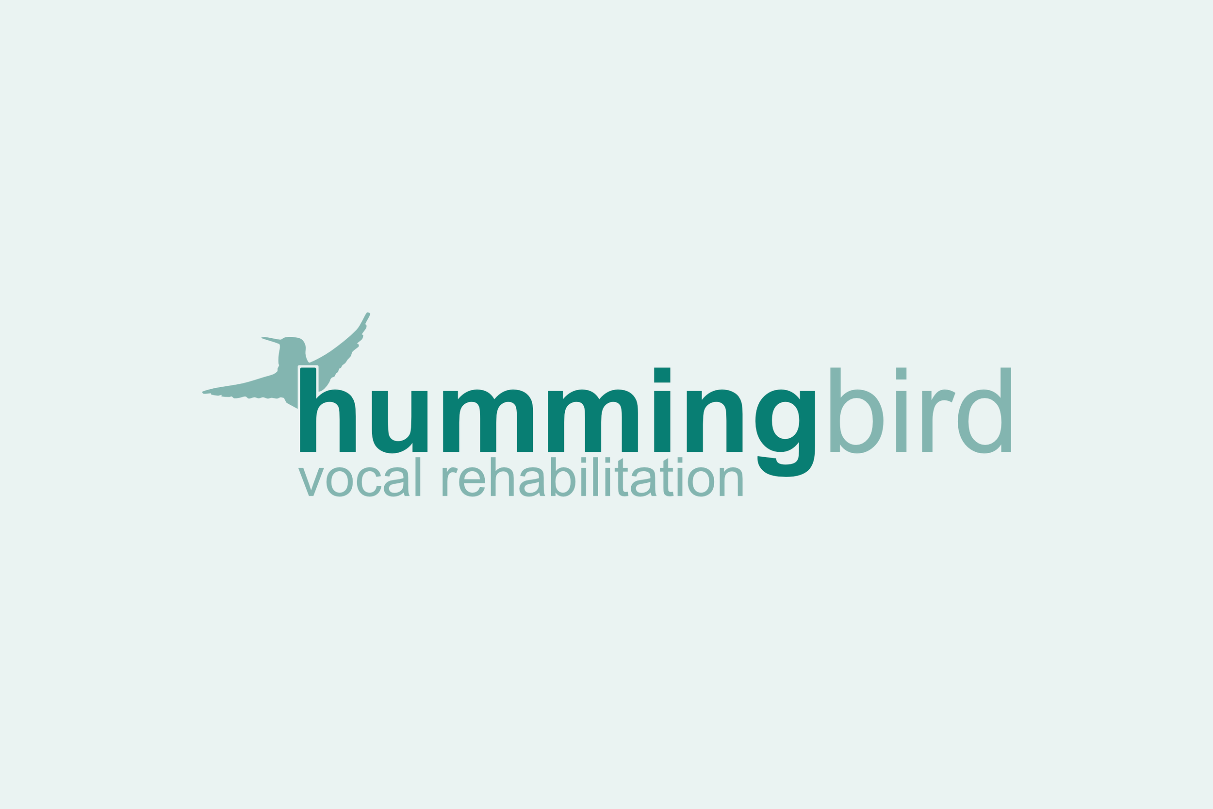 Hummingbird Vocal Rehabilitation - Conceptual Project
