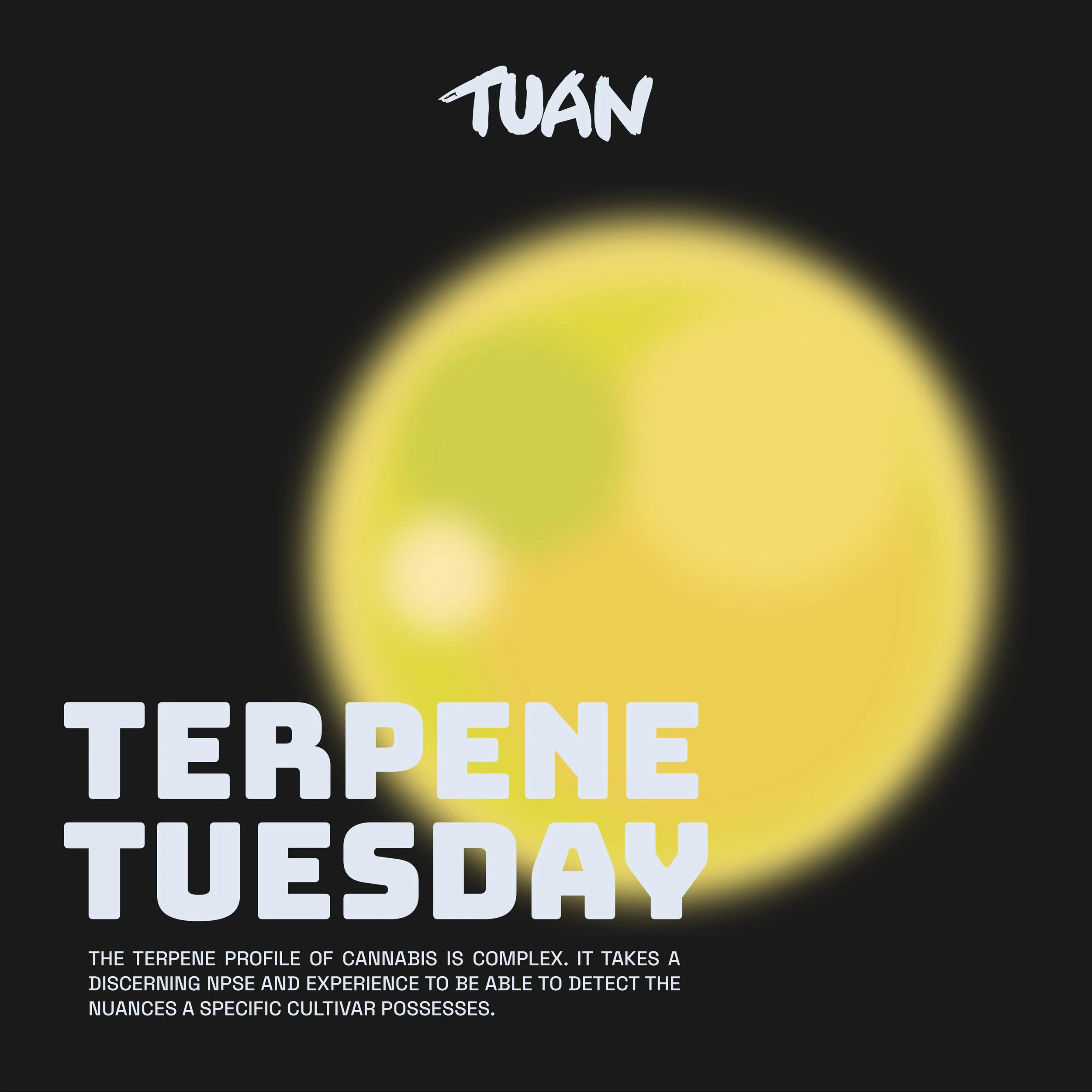 🔬 TERPENE TUESDAY // LIMONENE FILE // TUAN RESEARCH ARCHIVES

Recovered from a sealed TUAN research vault, today&rsquo;s disclosure concerns Limonene&mdash;a volatile aromatic compound first detected emanating from several recovered extraterrestrial