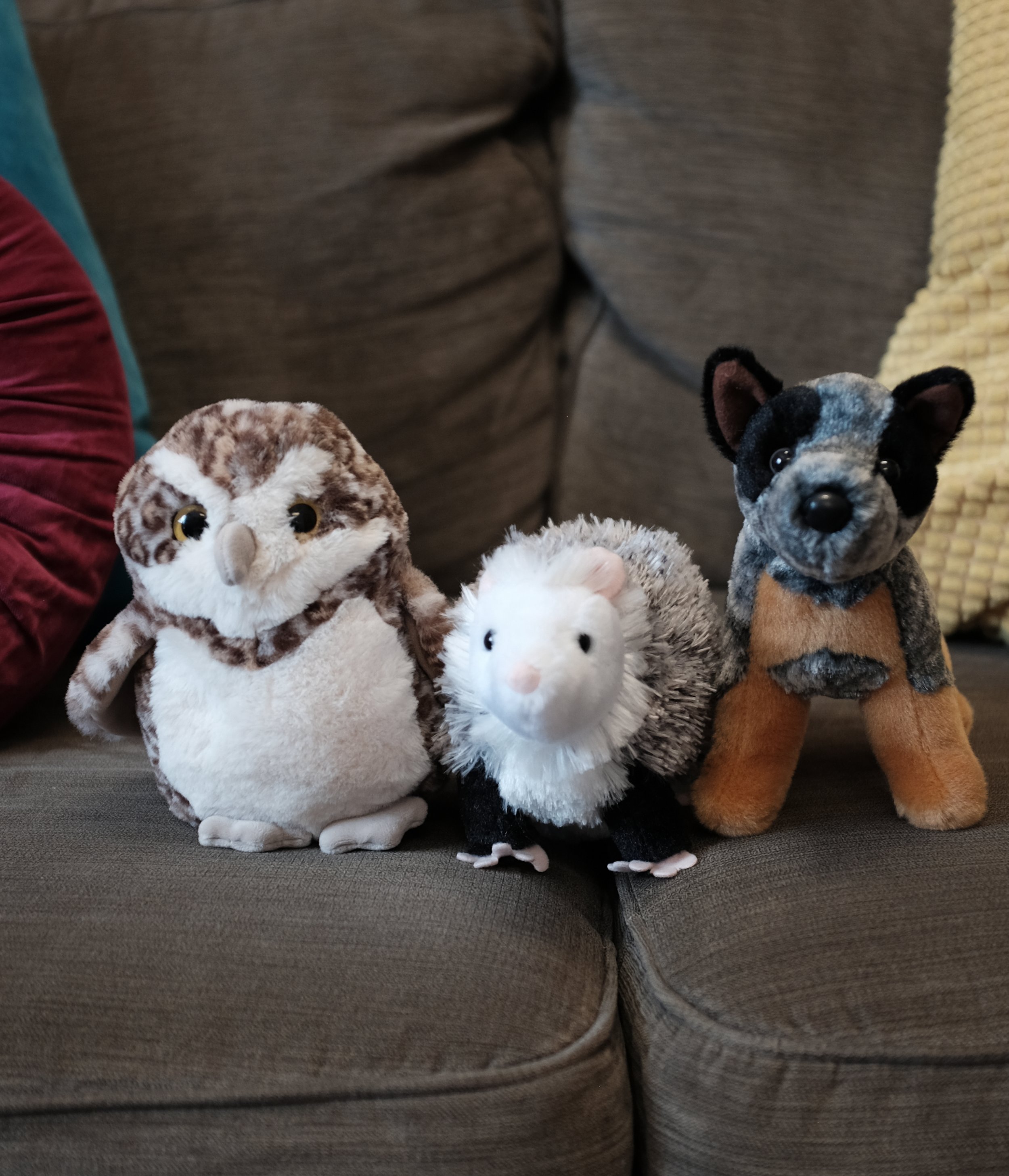 Three plush stuffed animals placed on a brown sofa. The plush toys resemble a snowy owl, a black and white dog, and a small gray creature. The setting appears to be indoors with a cozy environment.