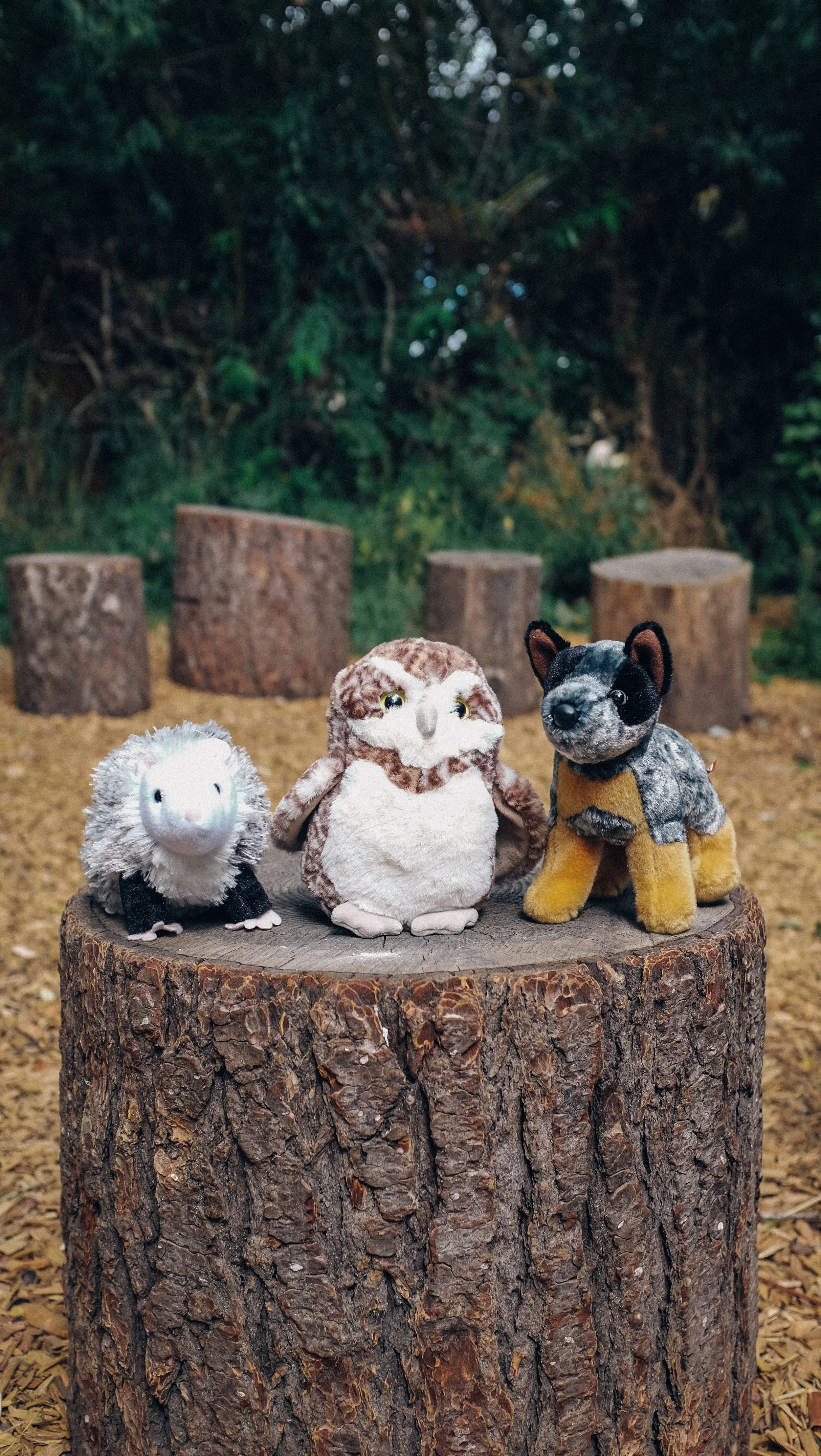 Three plush animal puppets, a sheep, an owl, and a dog, stand on a tree stump in a wooded outdoor setting with tree trunks and foliage in the background.