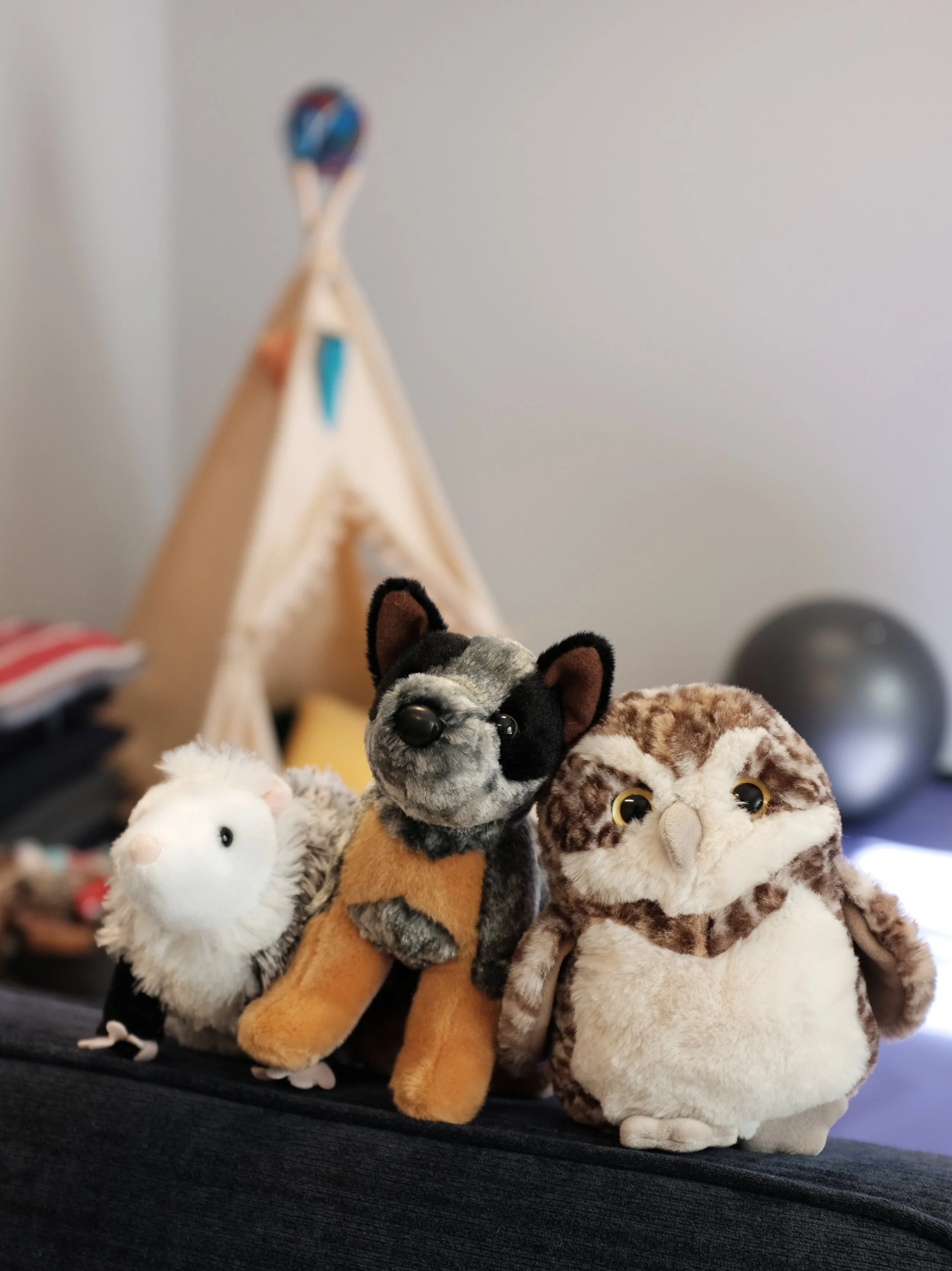 Collection of plush animal toys including a white mouse, a black and gray dog, a brown bear, and a spotted owl, placed on a dark surface with a teepee tent in the background.