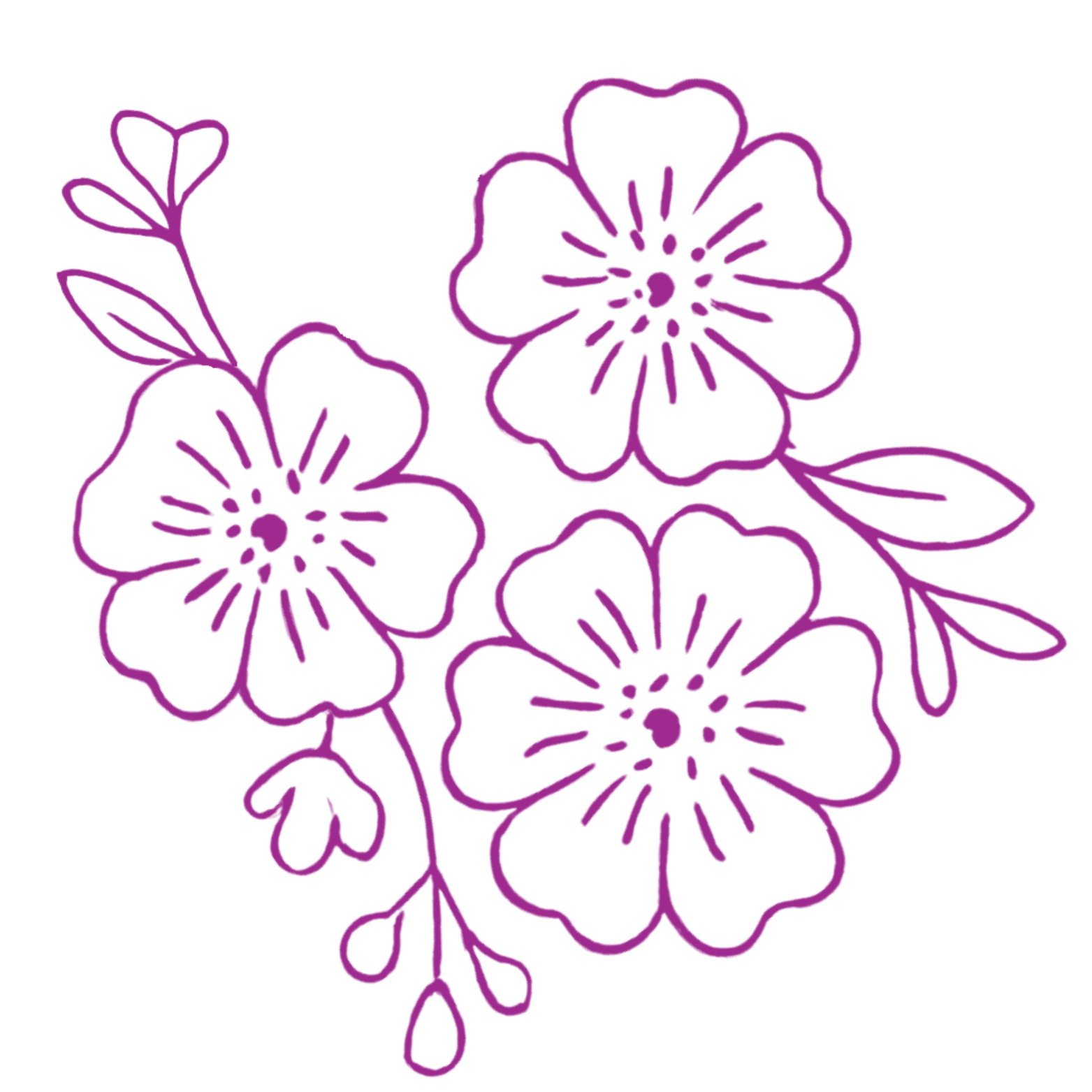 Outline drawing of purple flowers and leaves on a black background.