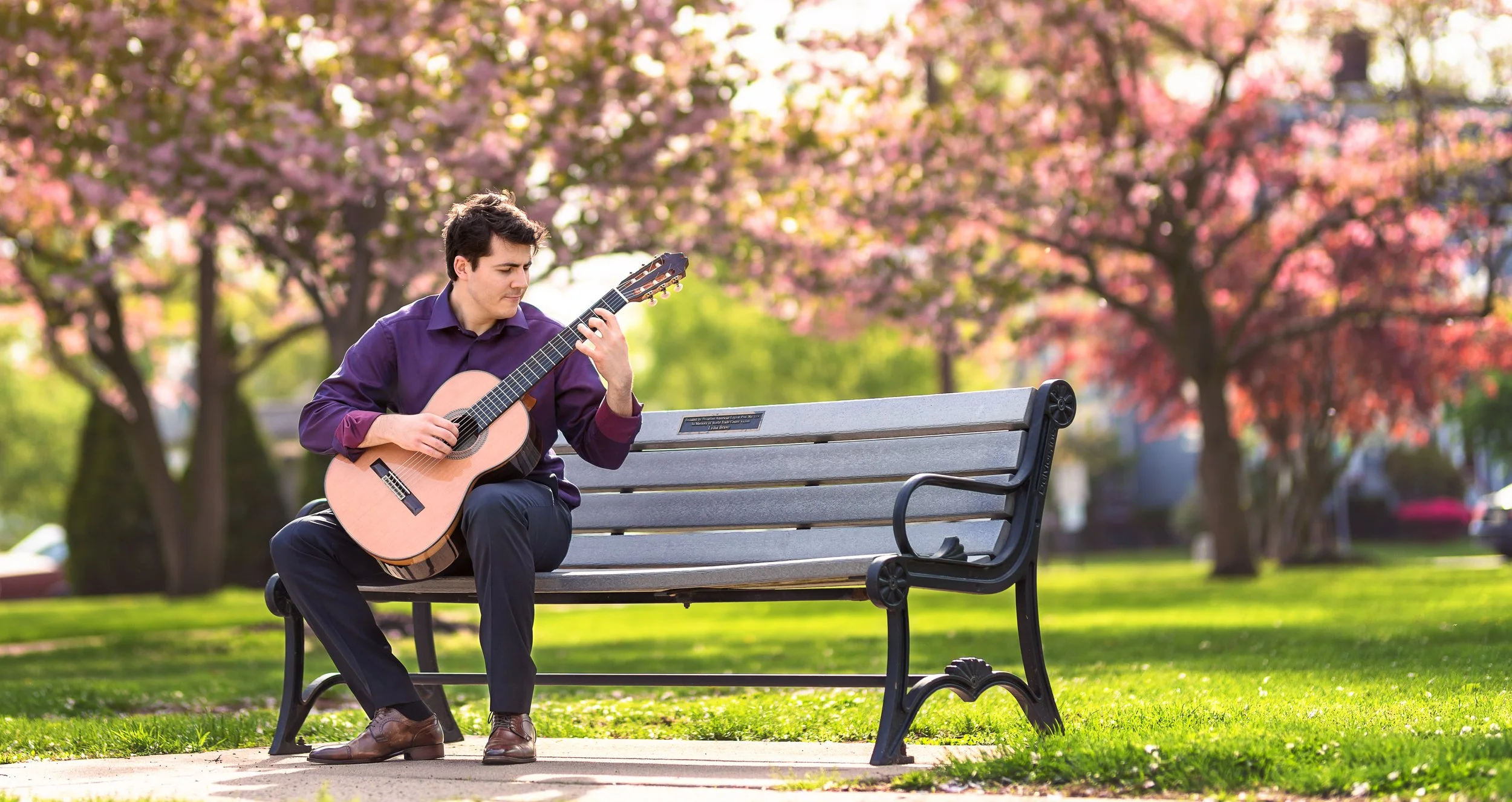 A man in a purple shirt and dark pants sitting on a park bench playing an acoustic guitar with pink flowering trees in the background.