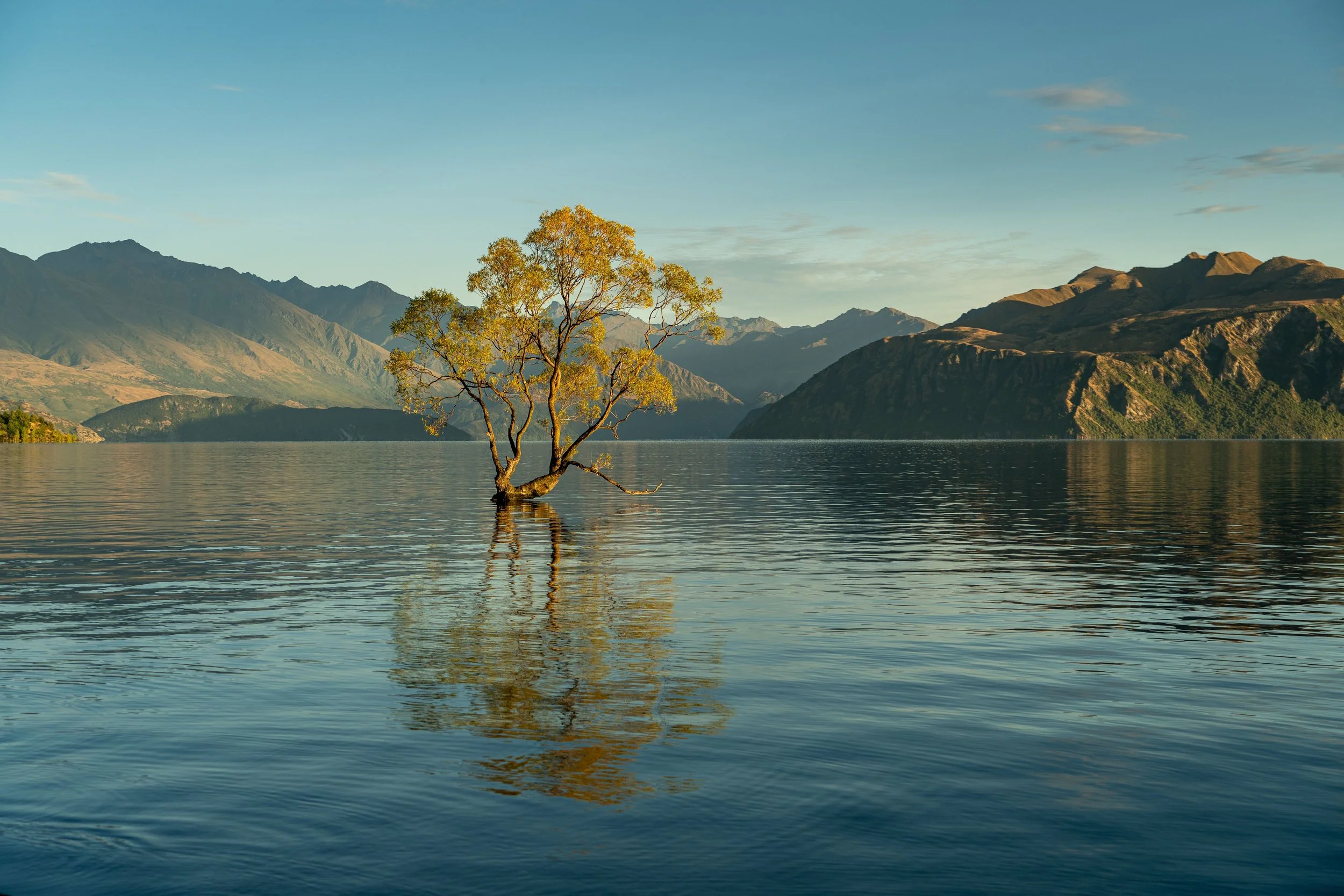 new zealand mystical.jpg