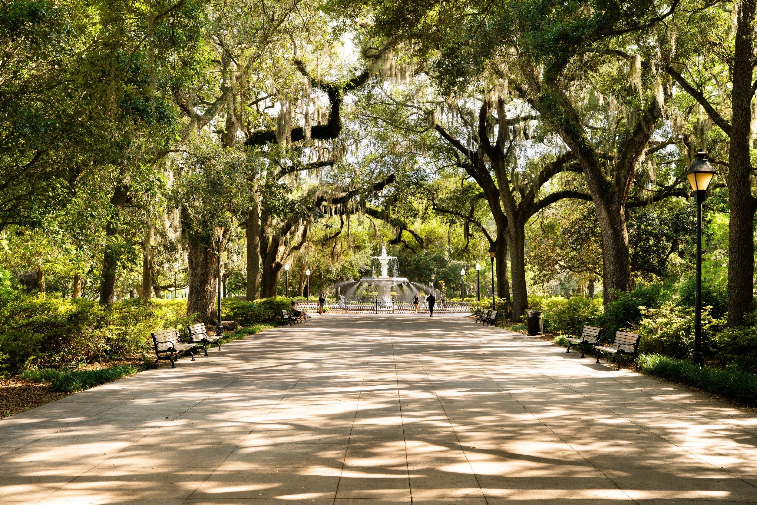 savannahga.jpg