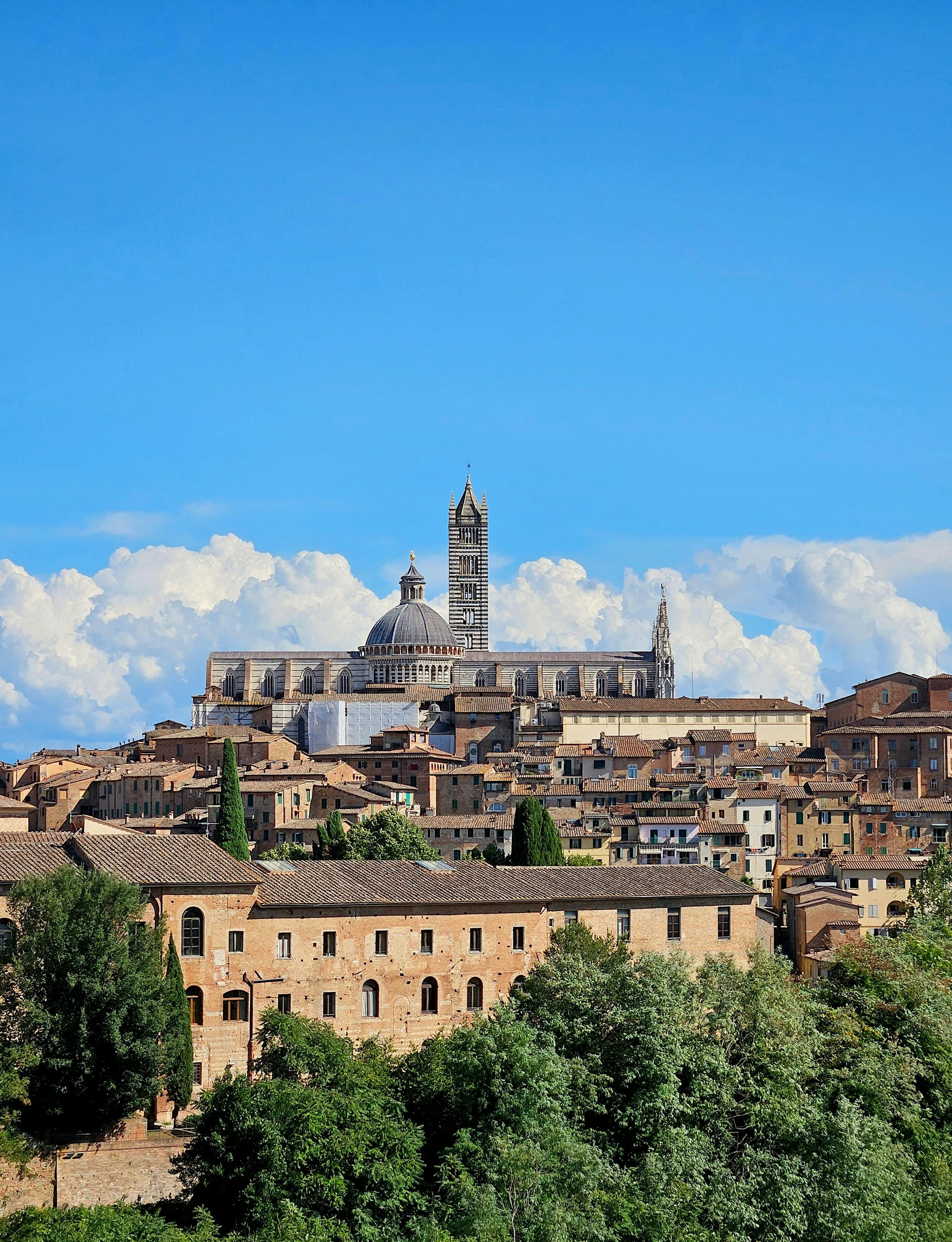 siena alternate.jpg