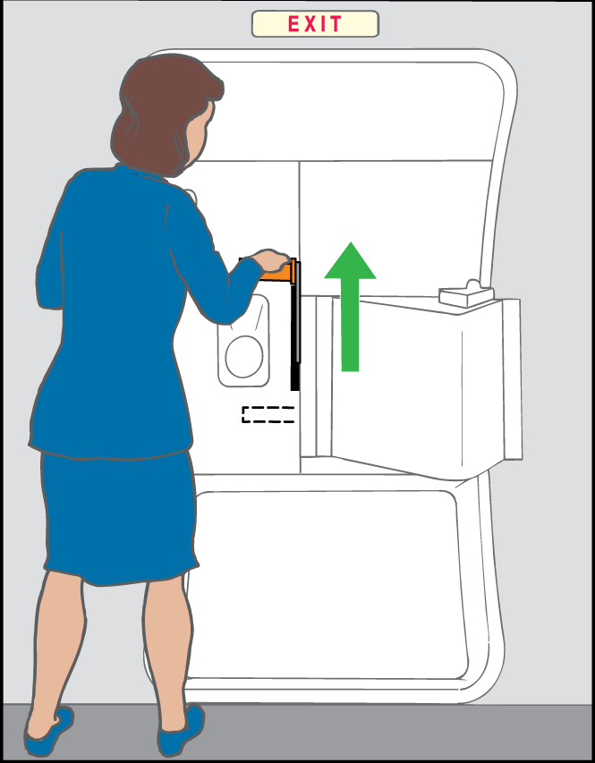 Illustration showing a flight attendant opening a door from a straight-on perspective.