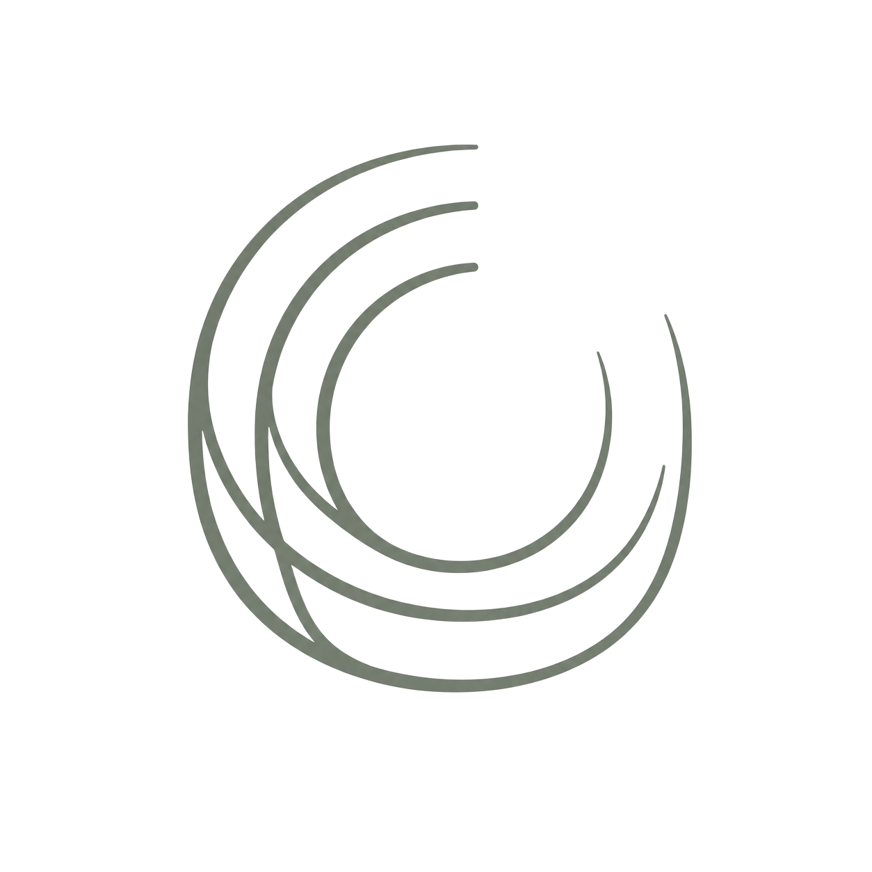 Wild Pear Design 