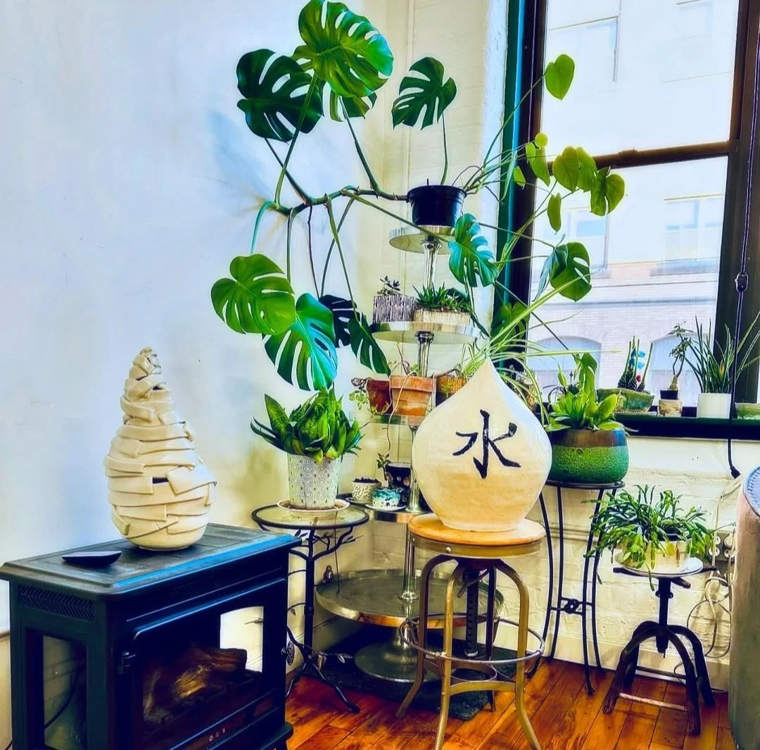 Indoor display of potted plants and decorative objects near a window, including a large monstera plant, a vase with Chinese character '水', and various small plants on stands and tables.