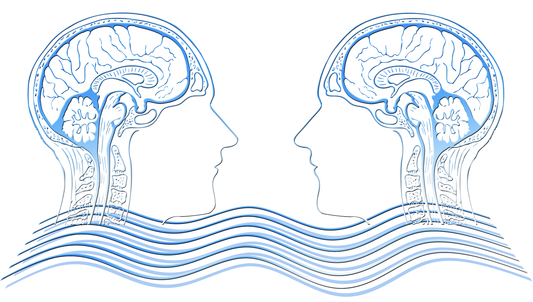 Two brain scans coming together and working as one in therapy EMDR.