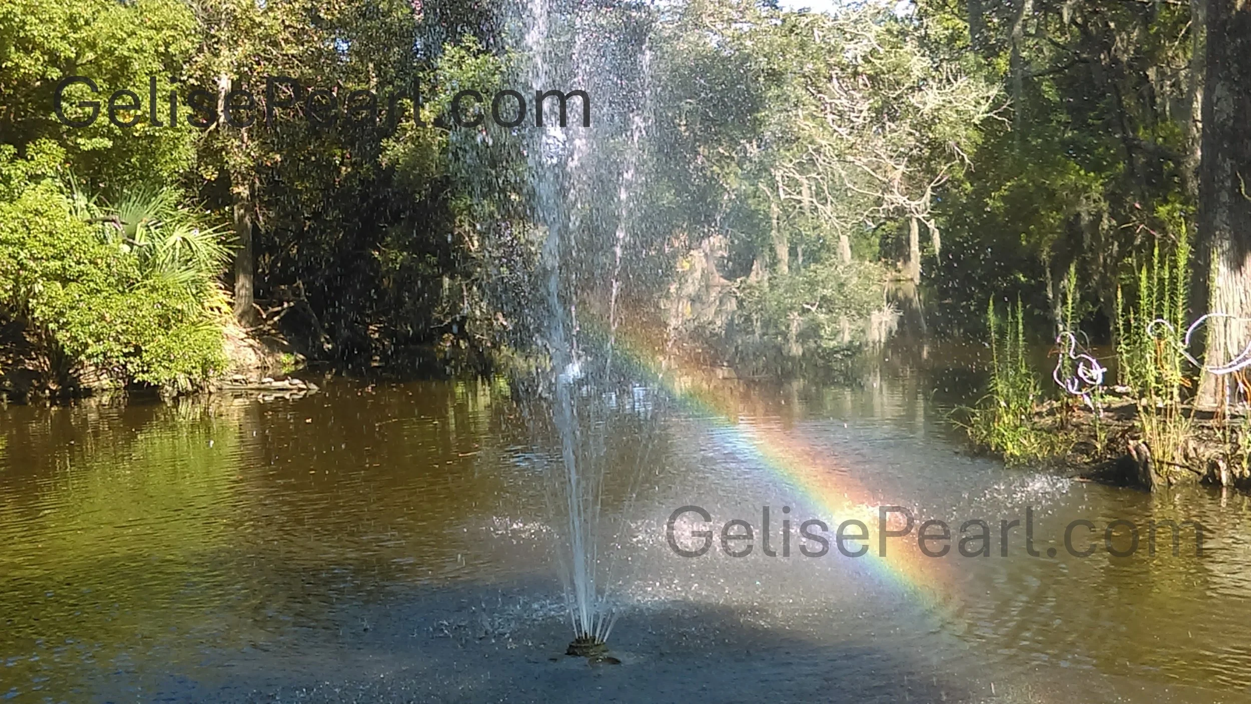 A peaceful river scene surrounded by trees with sunlight filtering through the leaves and a rainbow visible in the water at City Park in New Orleans.