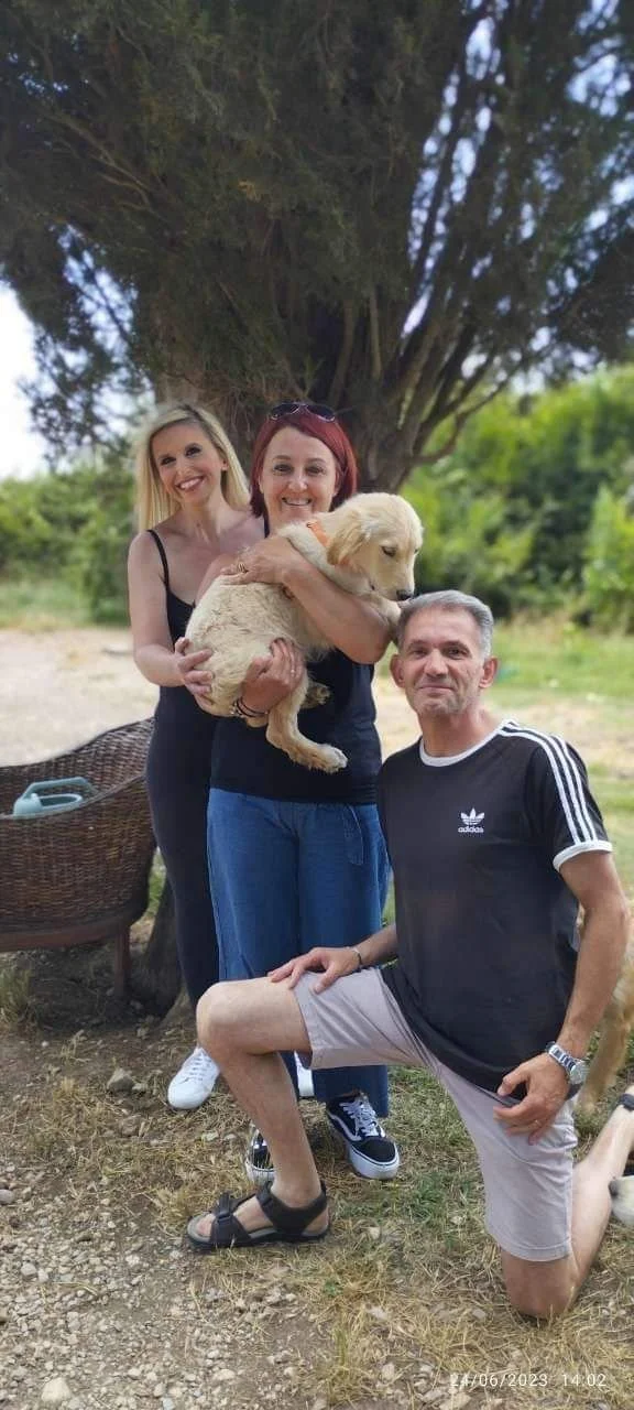 Tre persone sorridenti stanno insieme all'aperto, con un cane da toeletta dorato, sotto un albero.